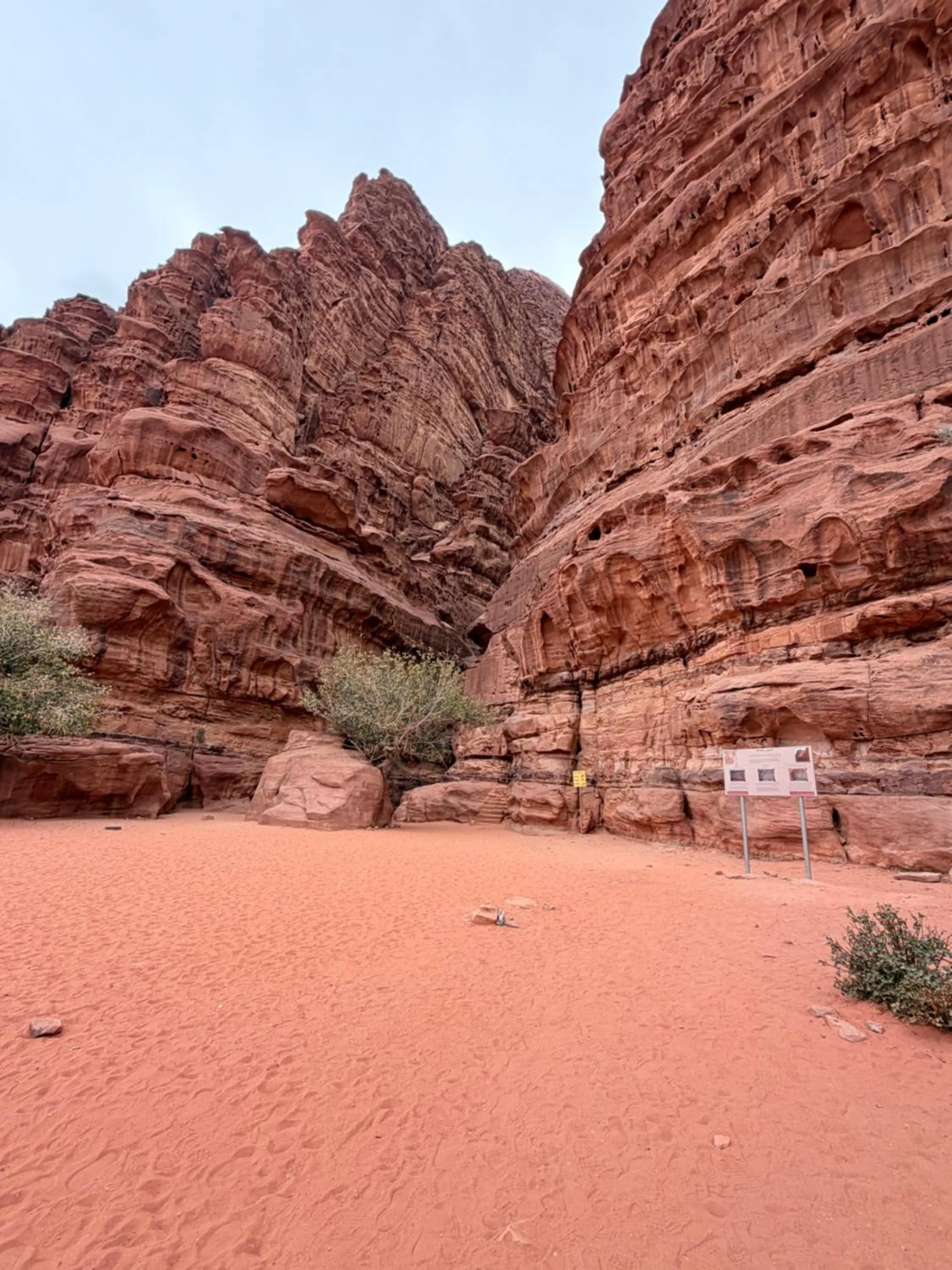 Wadi Rum White Mountain Camp