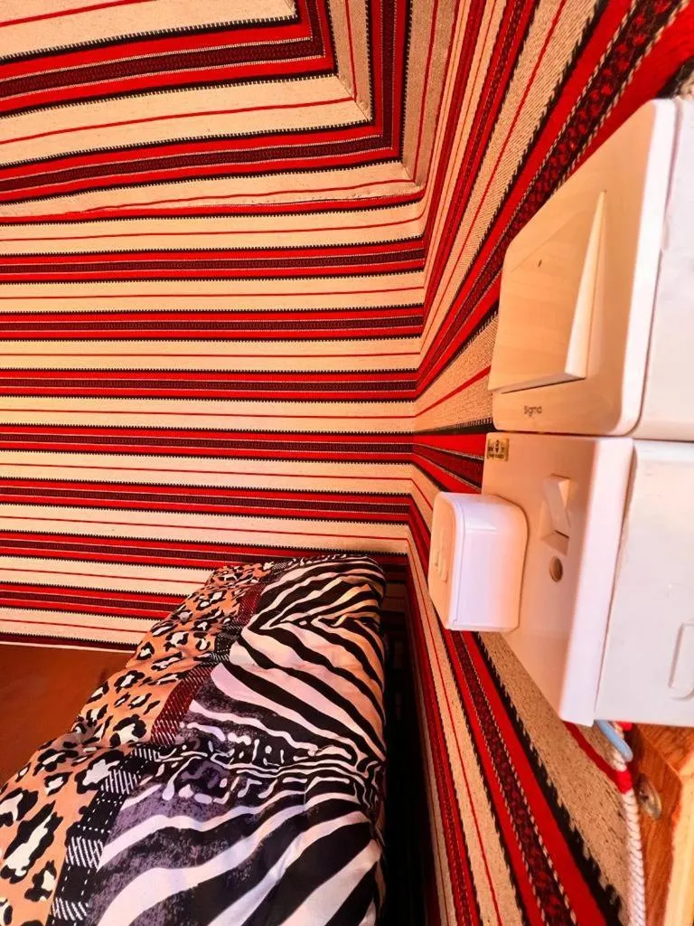 Photo of the whole room, Bed in Wadi Rum White Mountain Camp