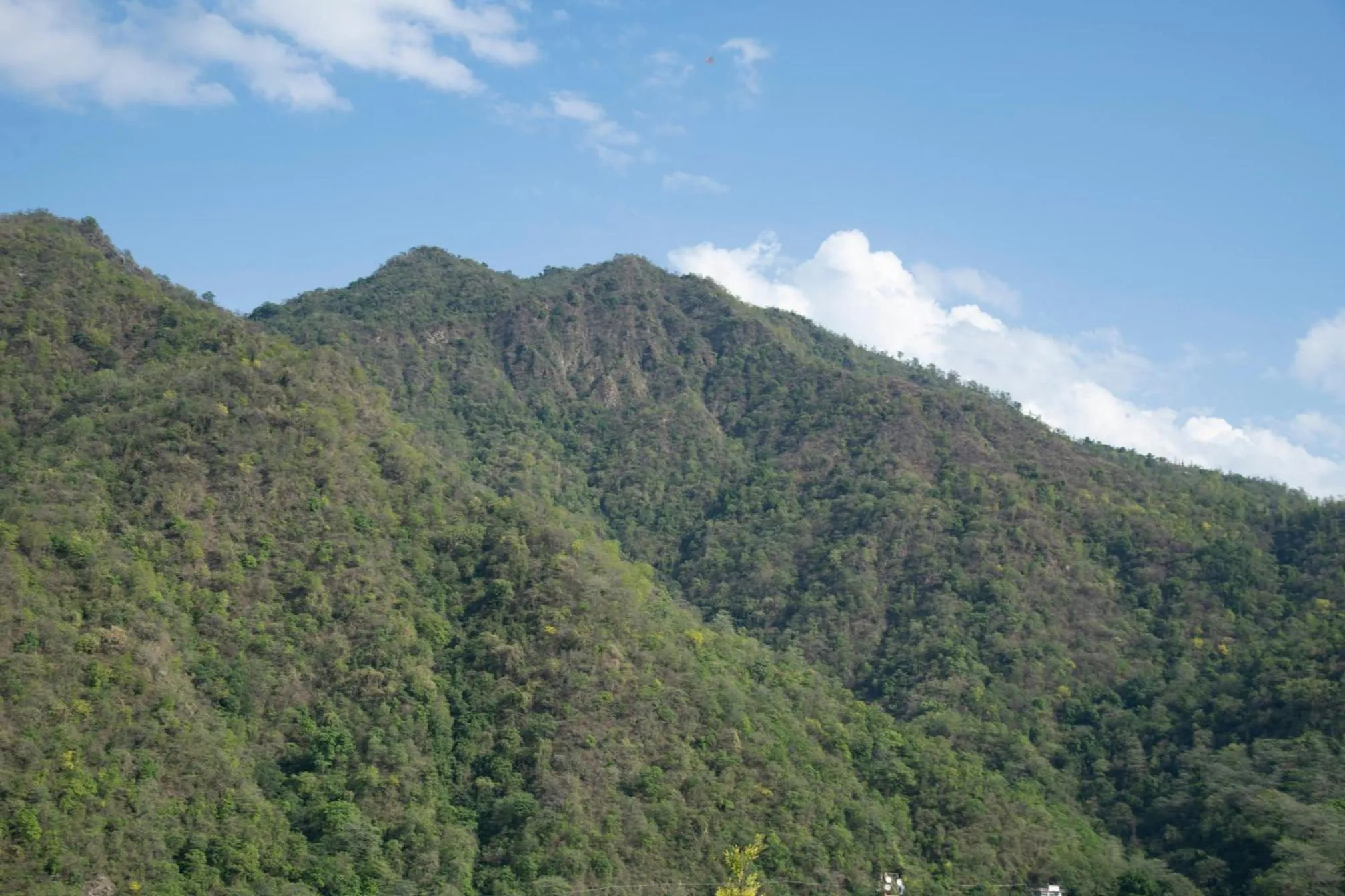 Bird's eye view in Hotel Dream Inn
