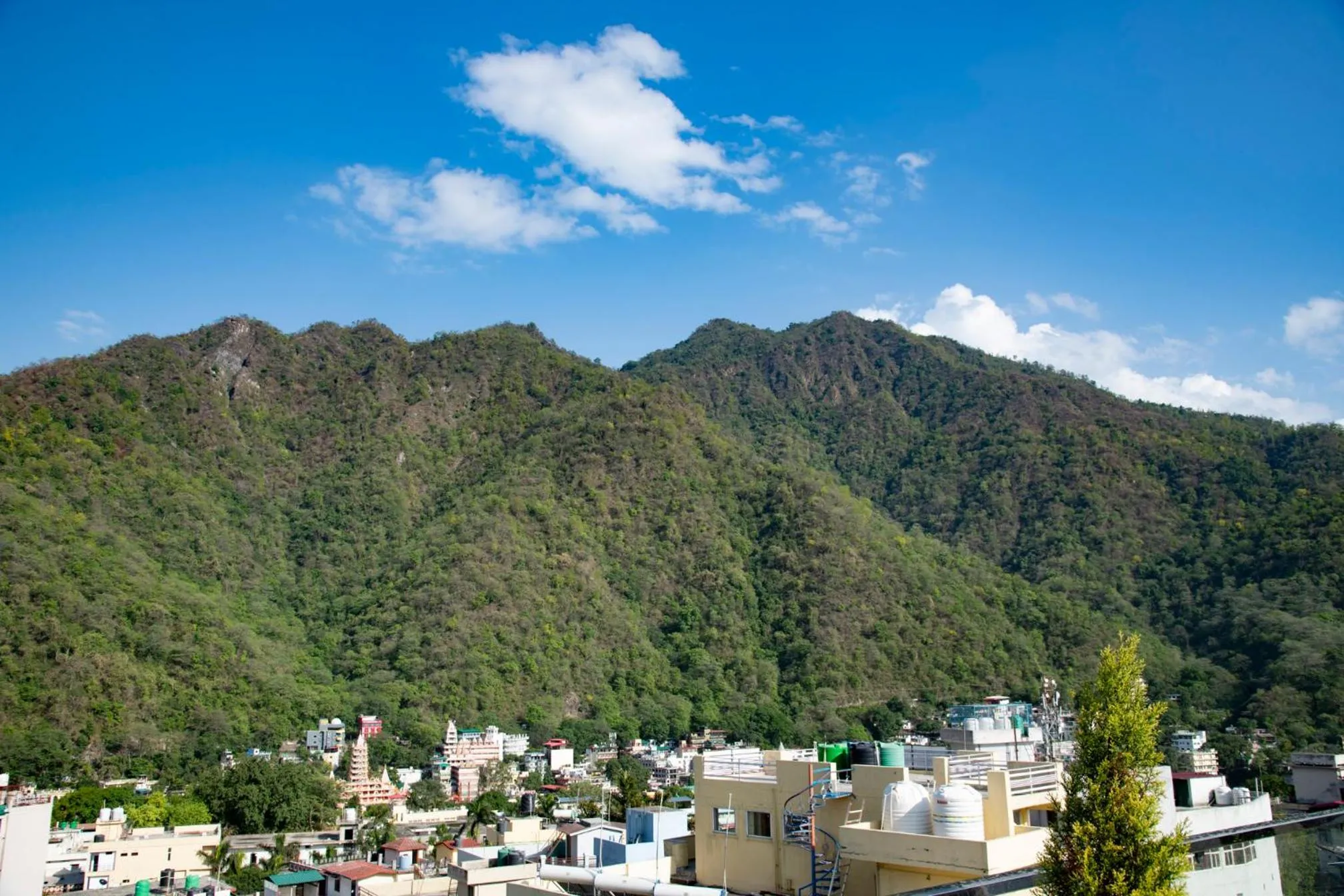 Natural landscape in Hotel Dream Inn