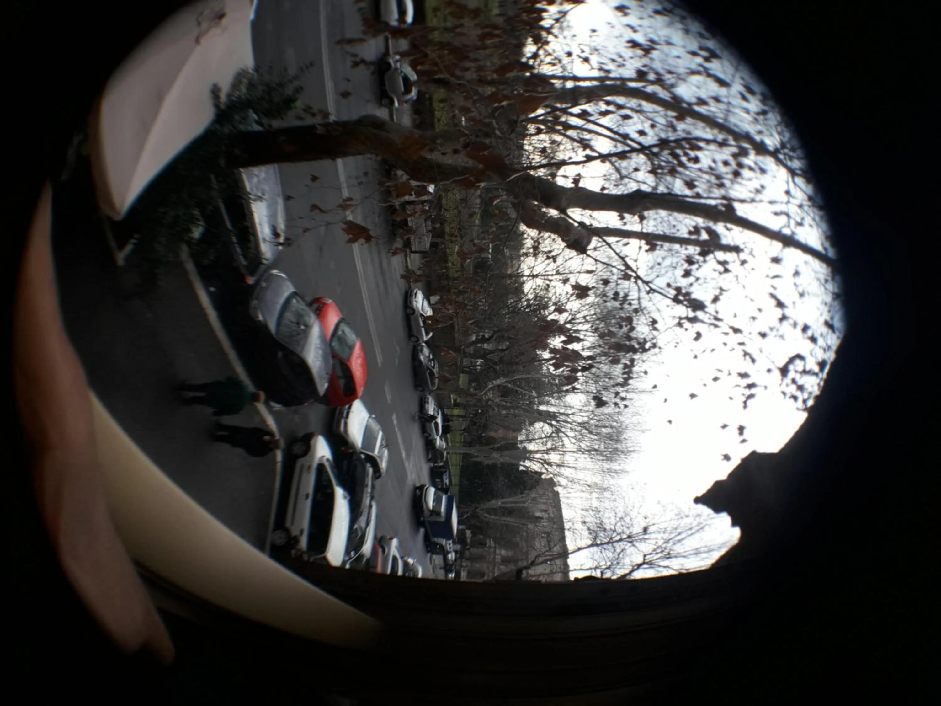 Property building in Vesta Domus