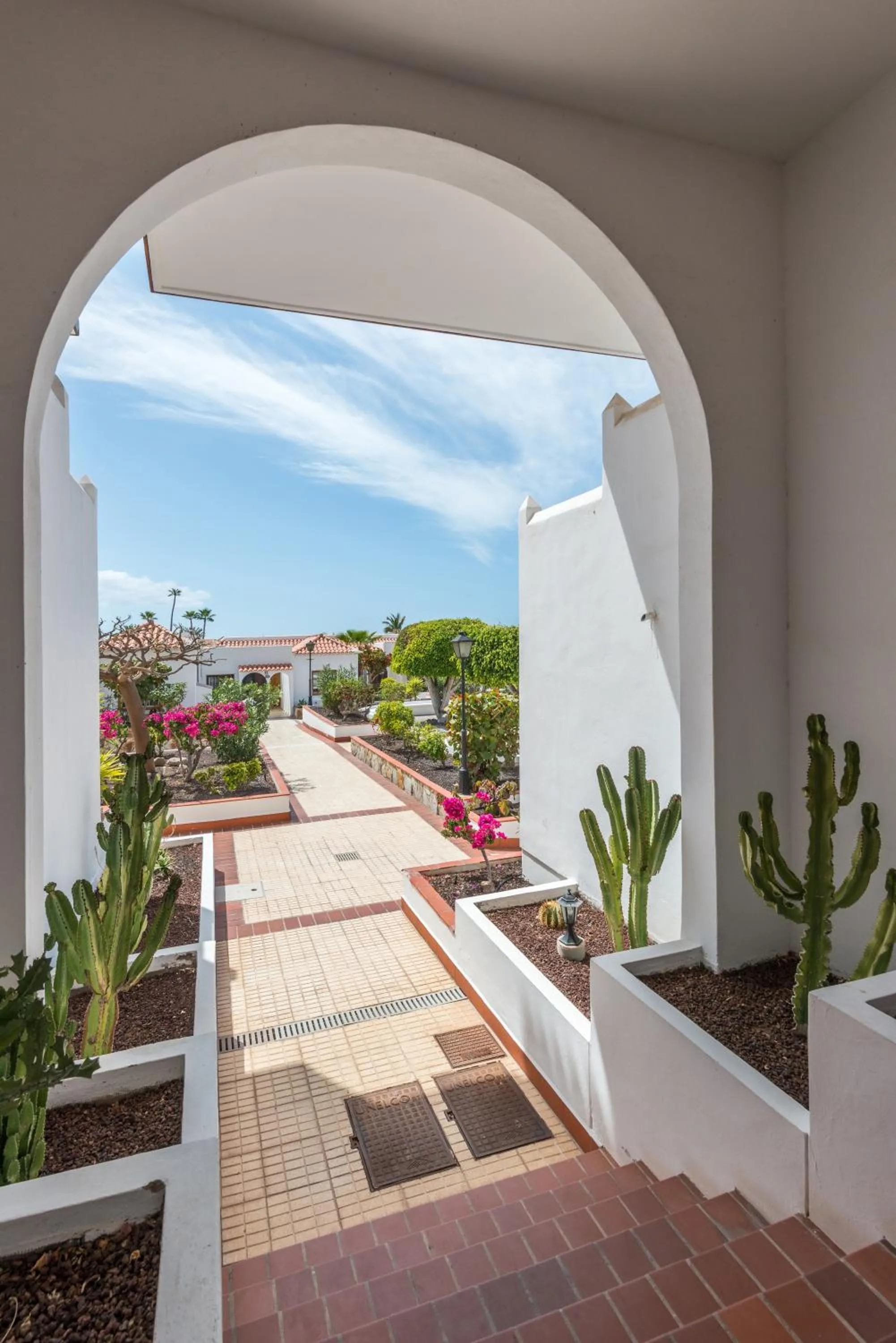 Area and facilities in Apartamentos El Beril Costa Adeje