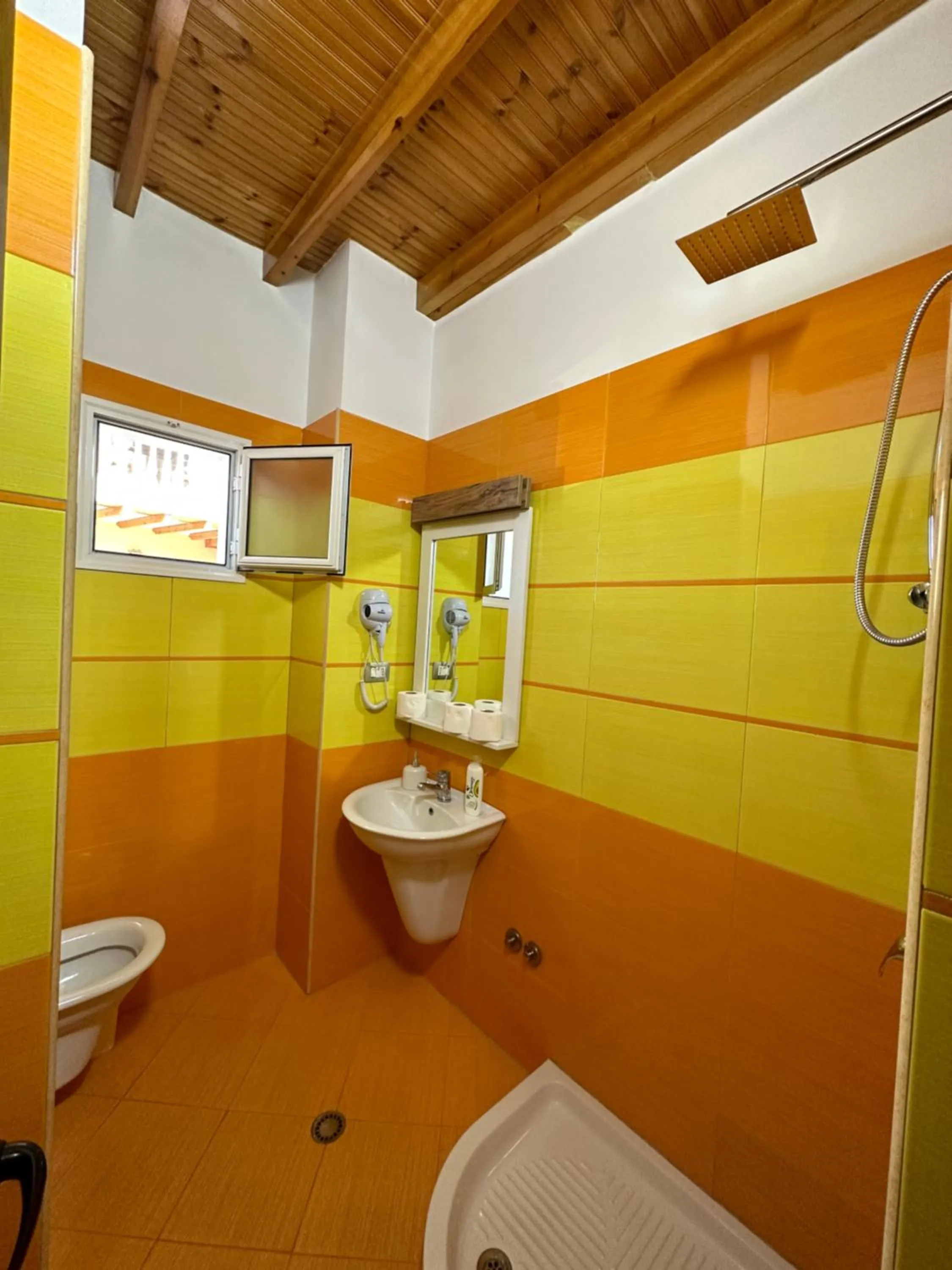 Shower in Arial Penthouse Suites