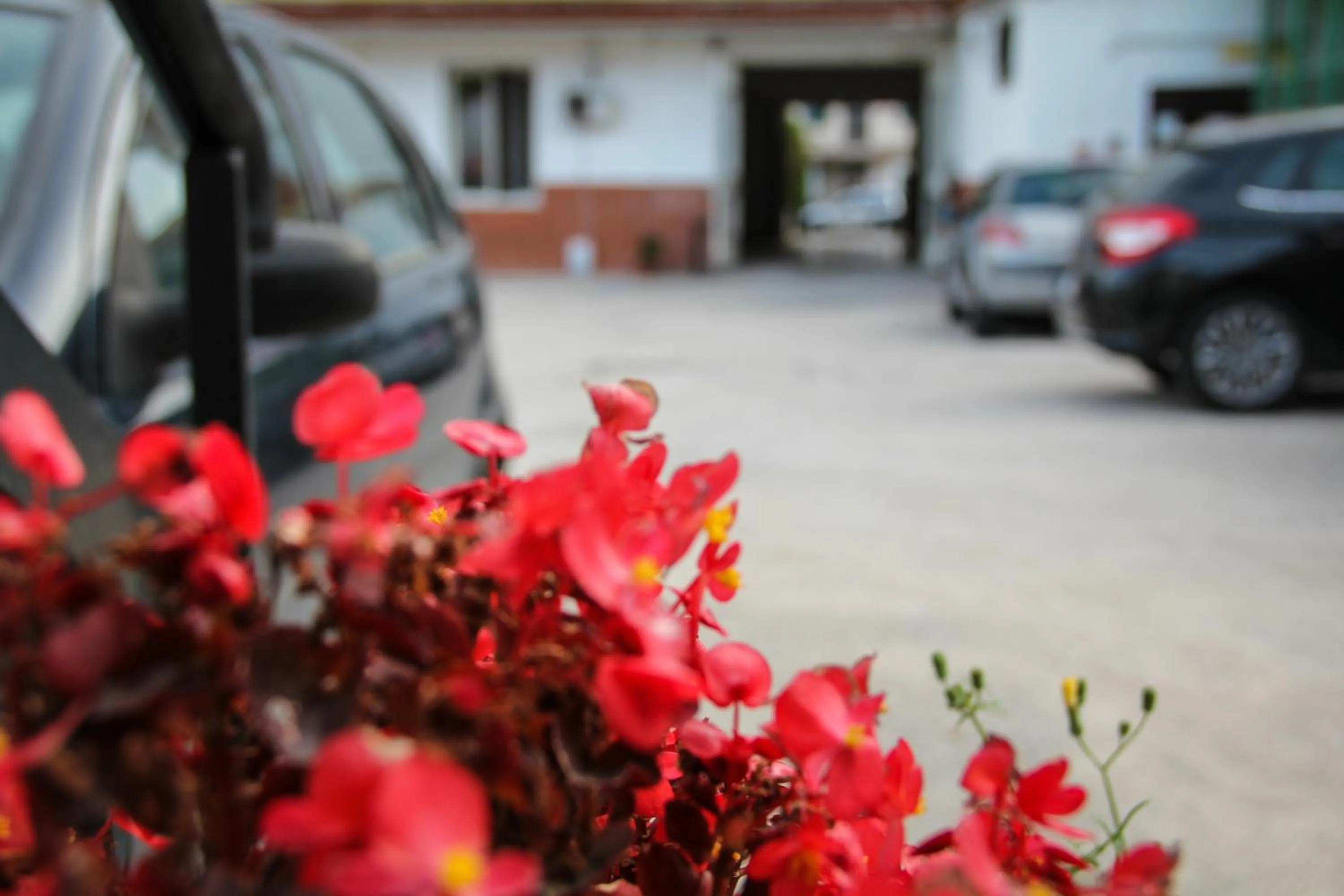 Area and facilities in Hotel Santa Marta