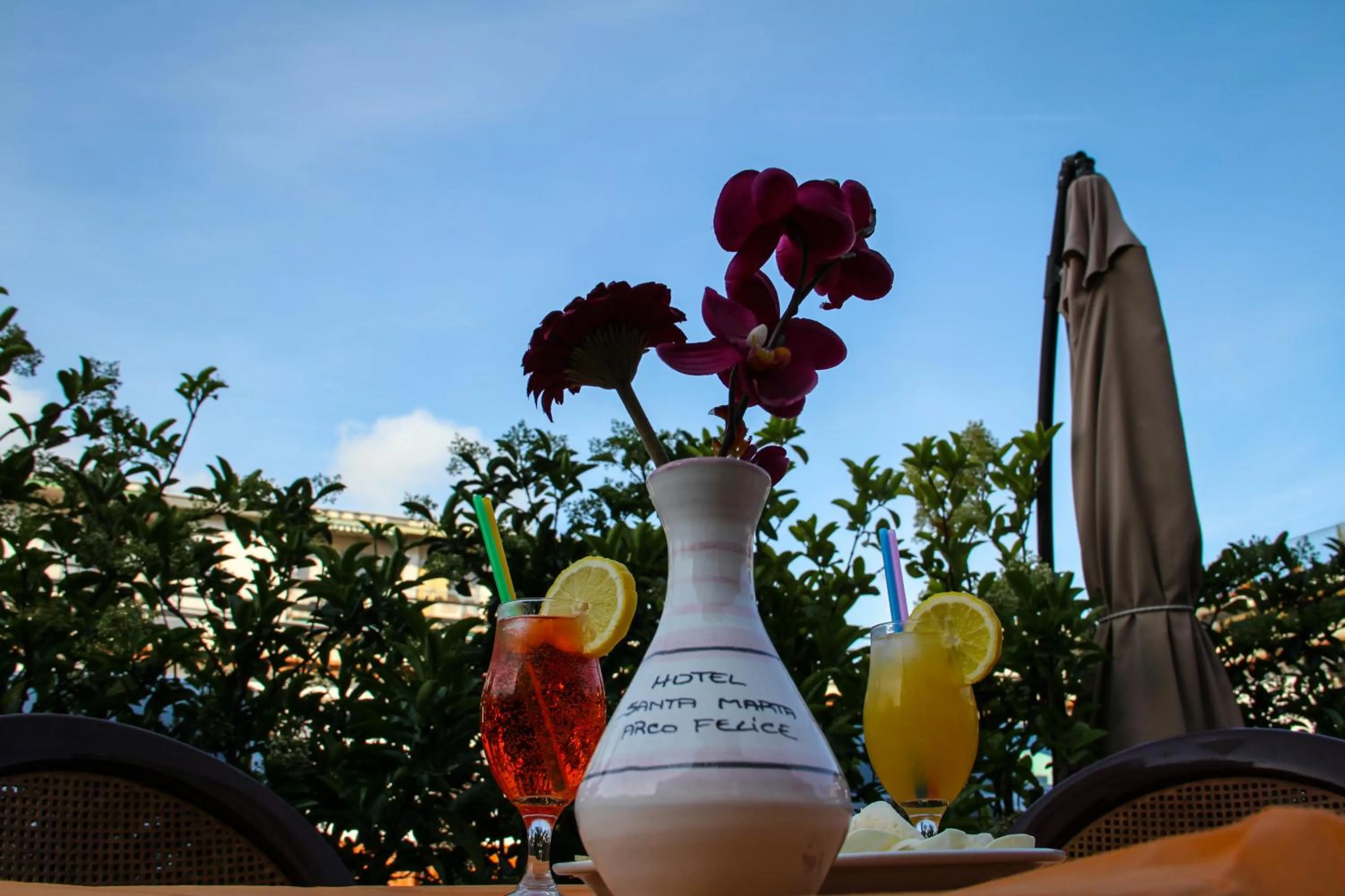Garden in Hotel Santa Marta