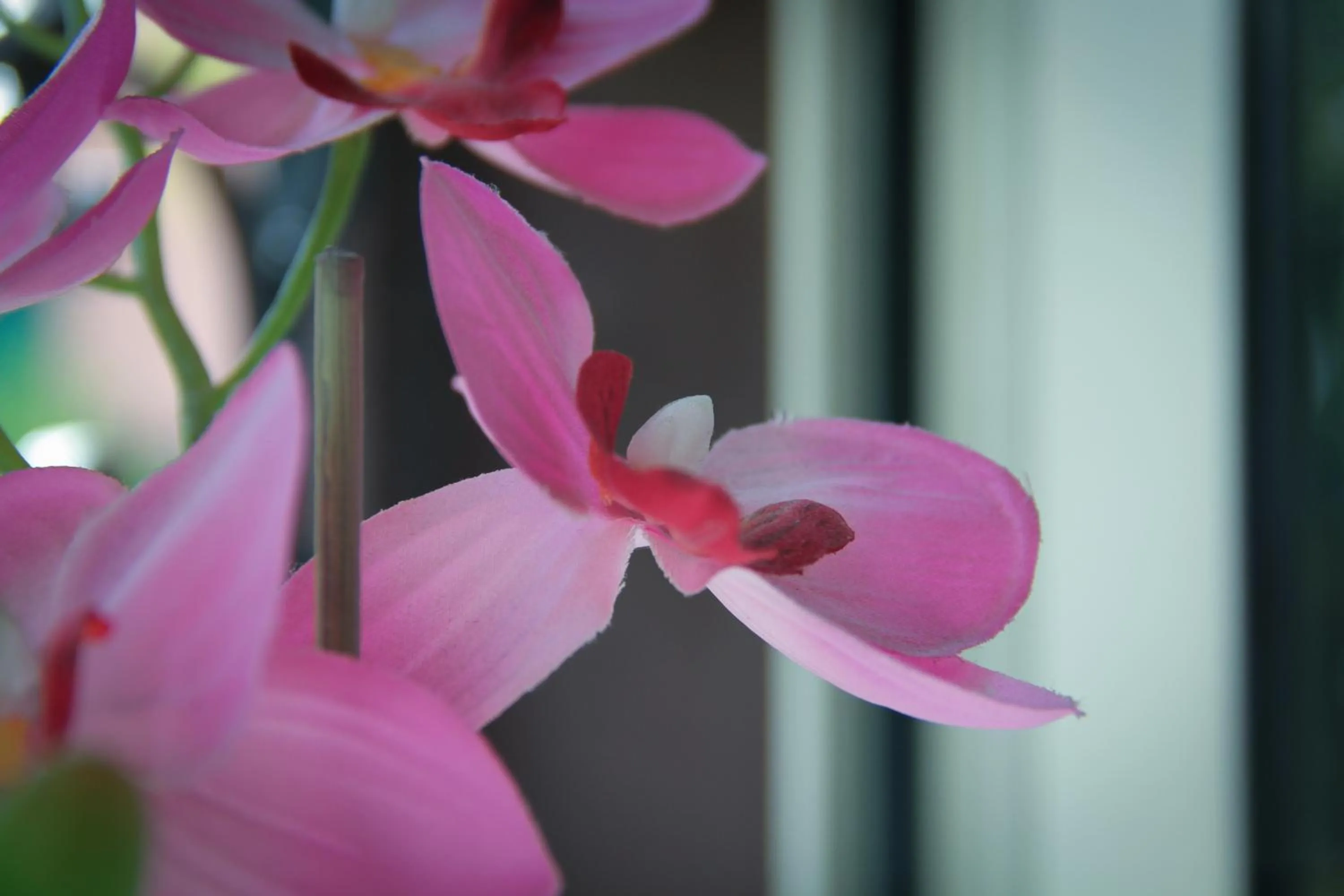 Decorative detail in Hotel Santa Marta