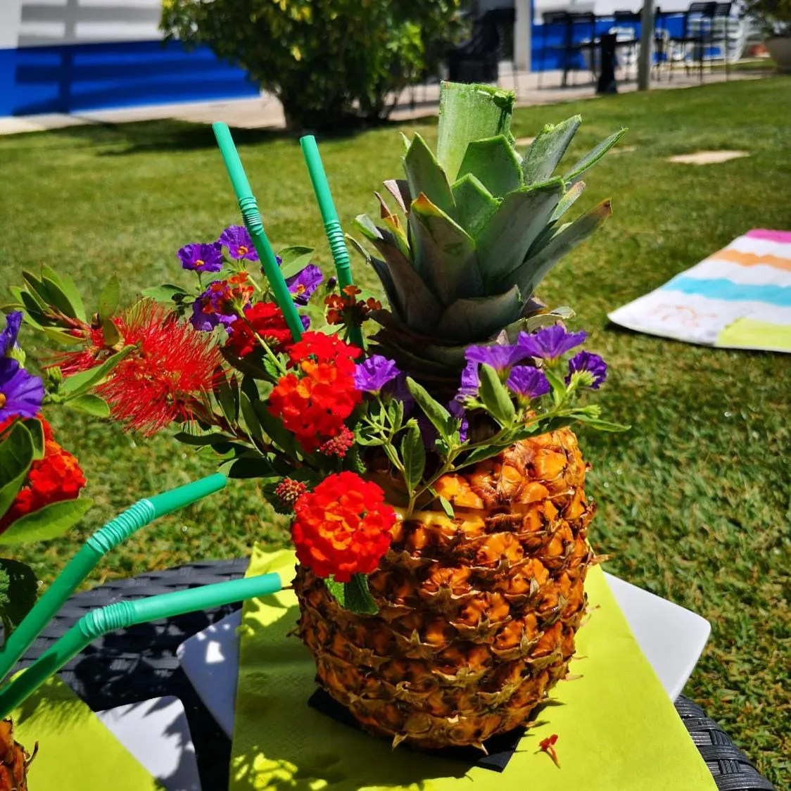 Restaurant/places to eat in Monte dos Poços