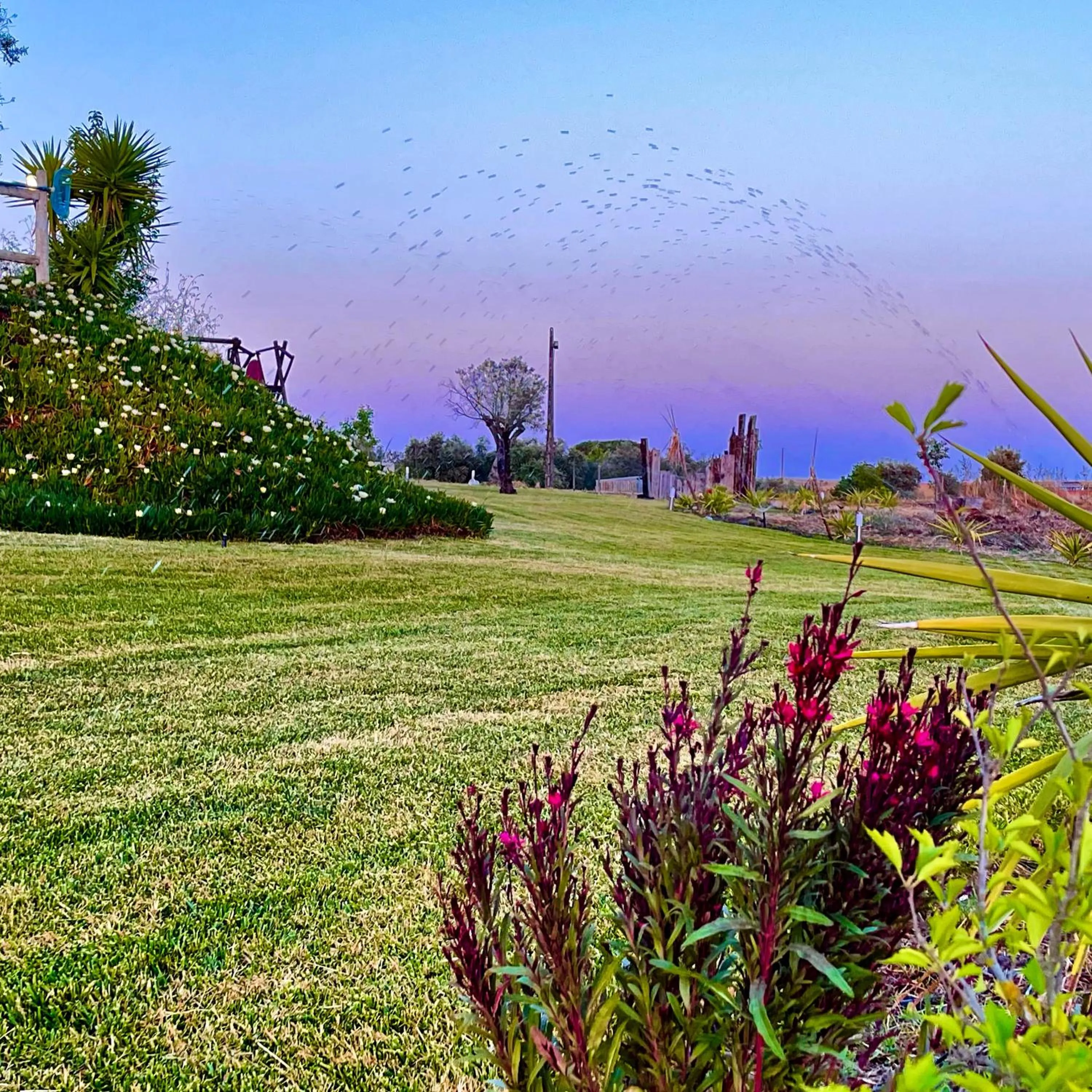 Natural landscape in Monte dos Poços