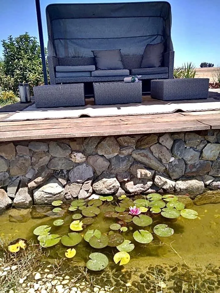 Patio in Monte dos Poços