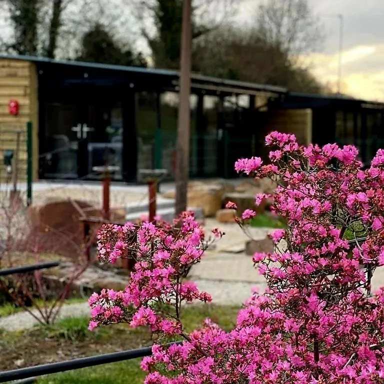 Entertainment in Walsh's Mill Lodges & Linen House