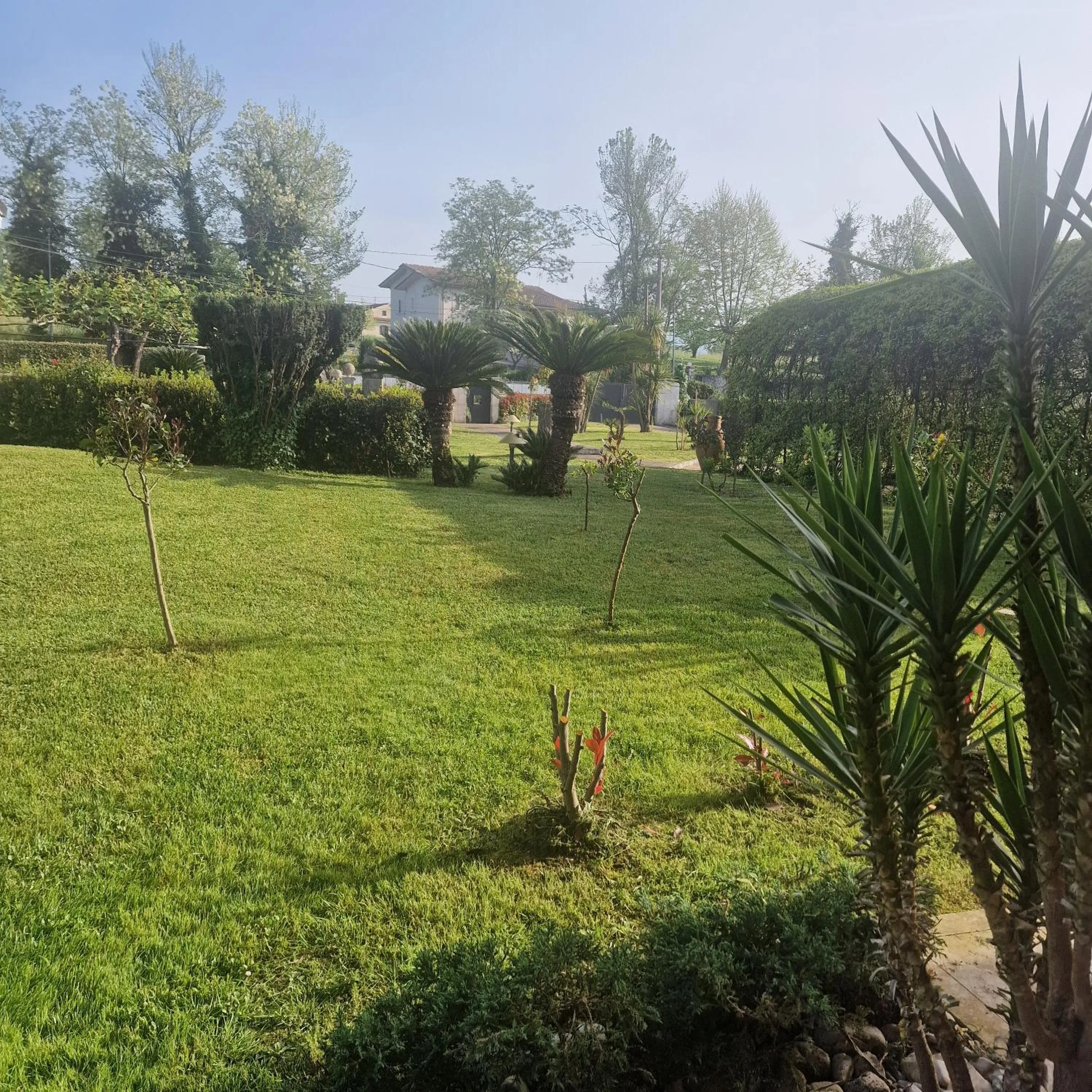 Garden view in Villa Annamaria