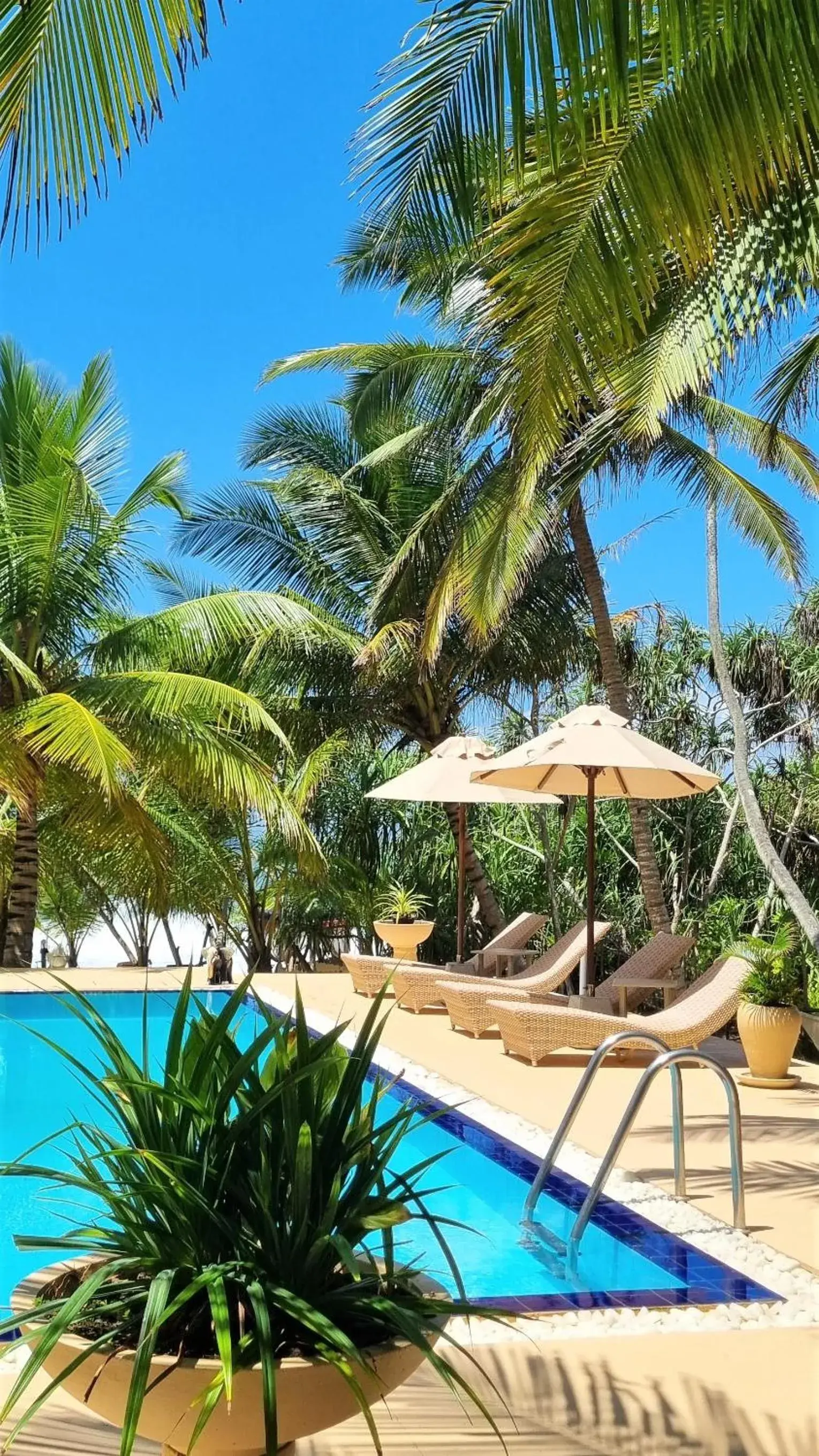 Golden Beach Paradise Golden Beach Paradise