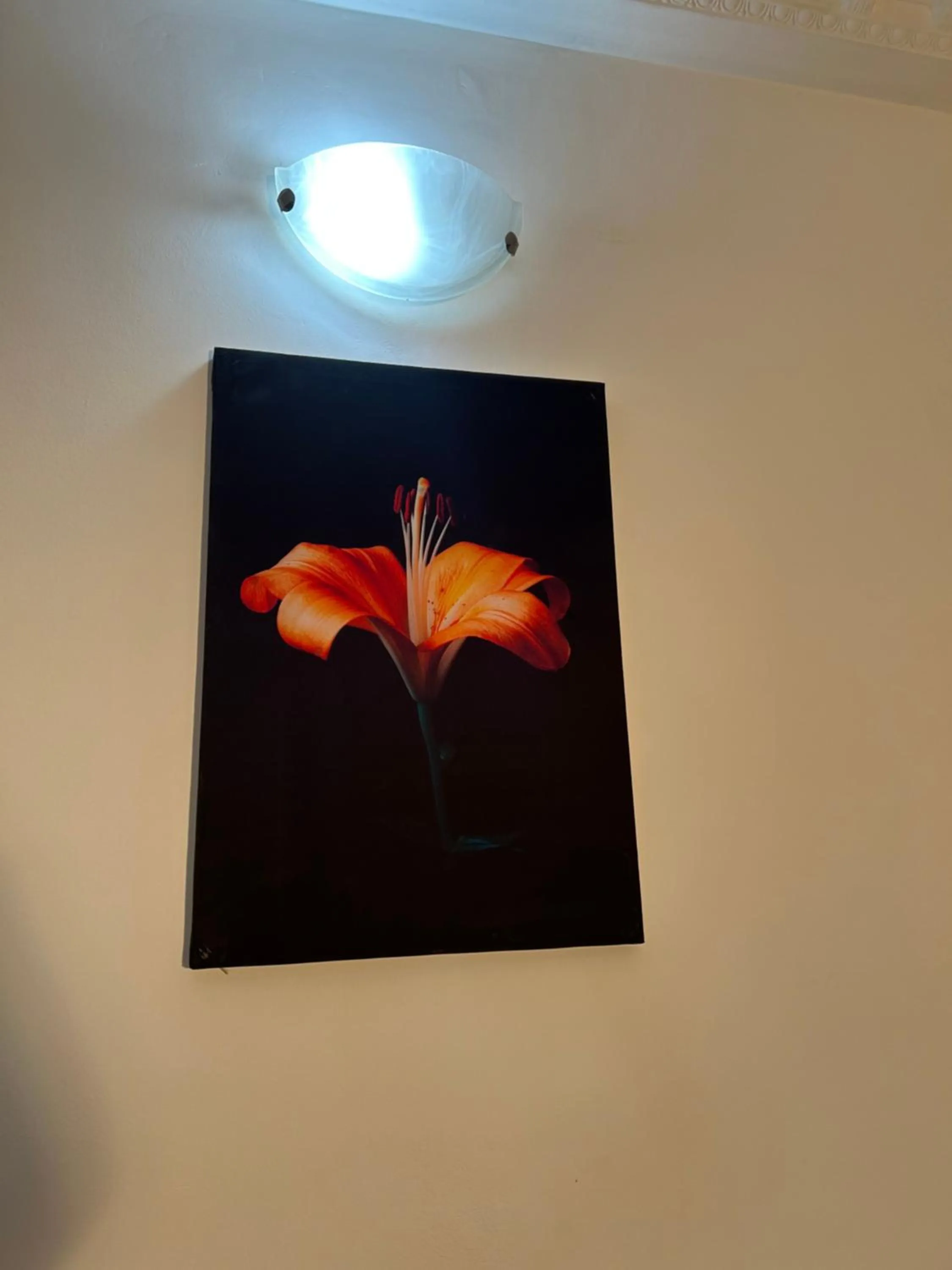 Decorative detail in Prodiges Hôtel