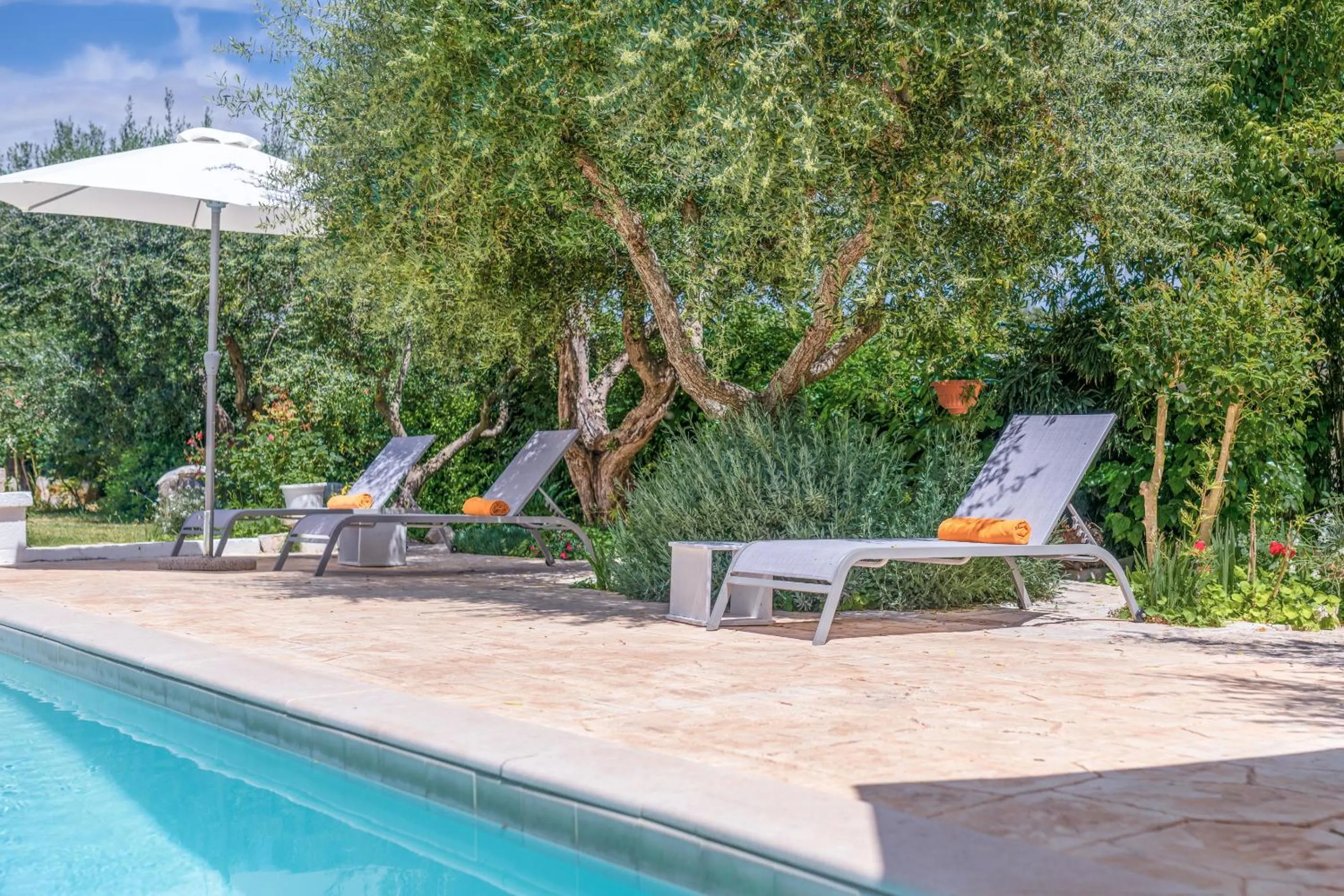 Swimming pool in La Casèdde
