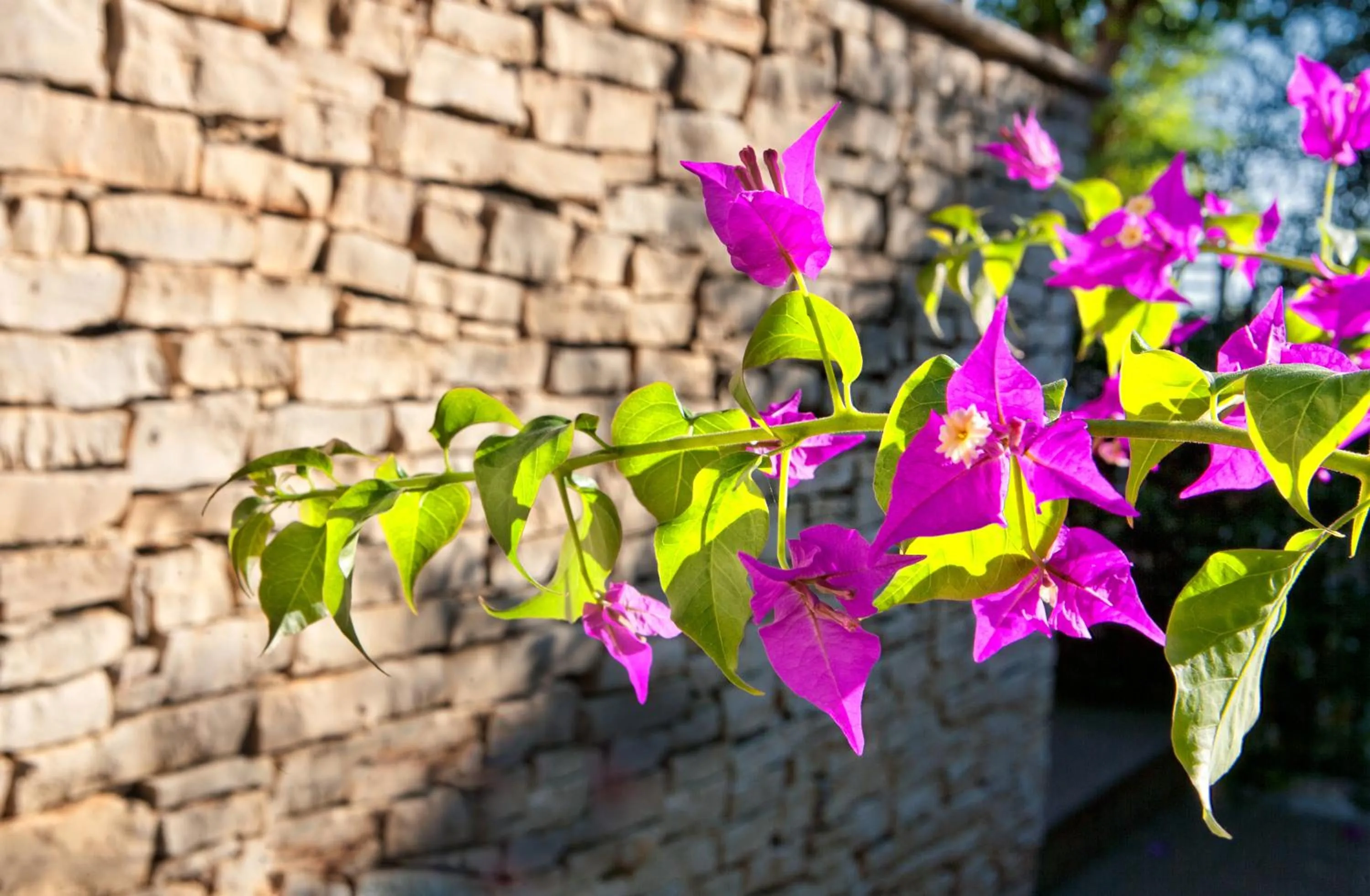 Decorative detail in Virgilio Grand Hotel