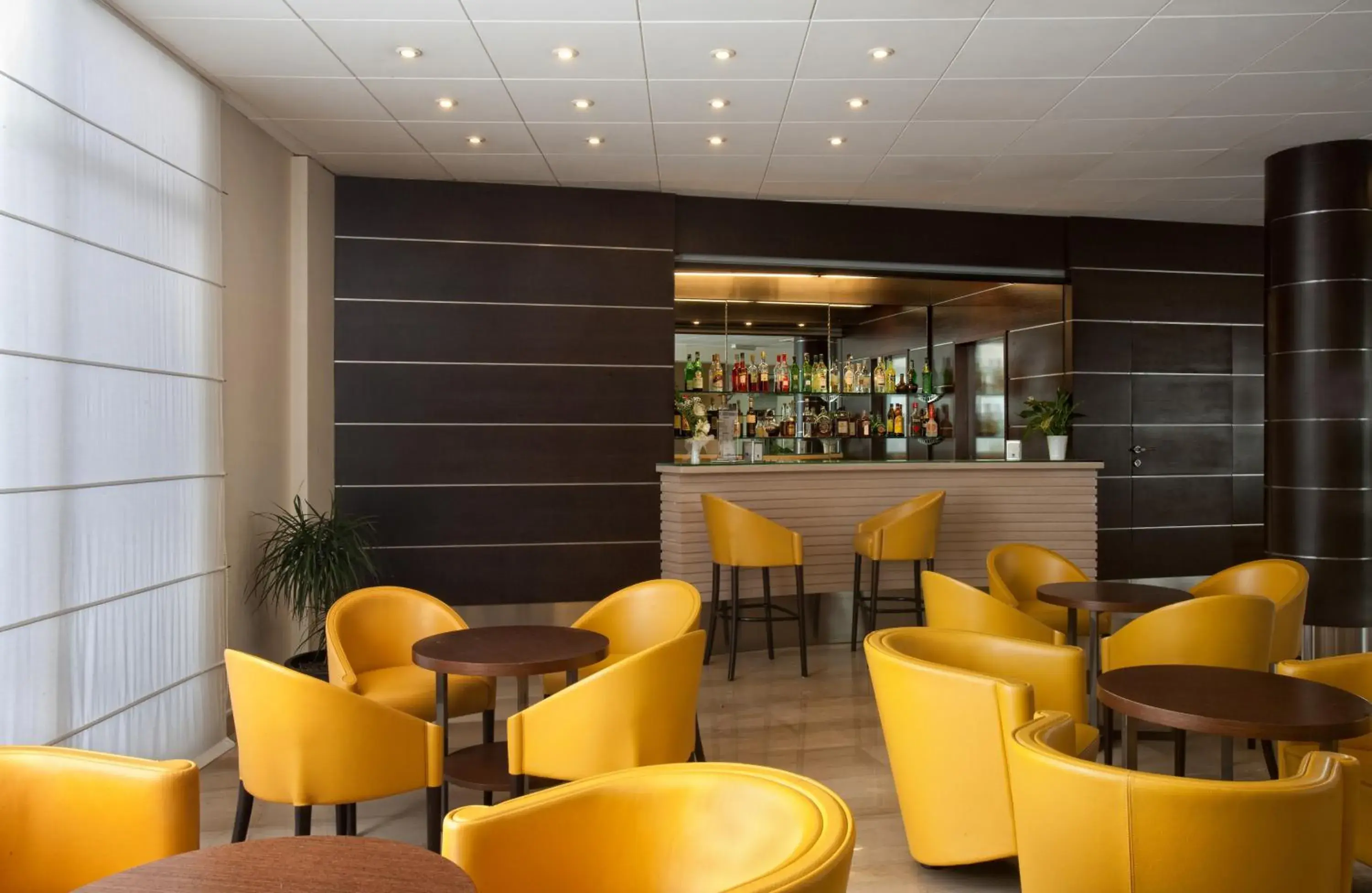 Lounge or bar in Virgilio Grand Hotel Lounge or bar in Virgilio Grand Hotel