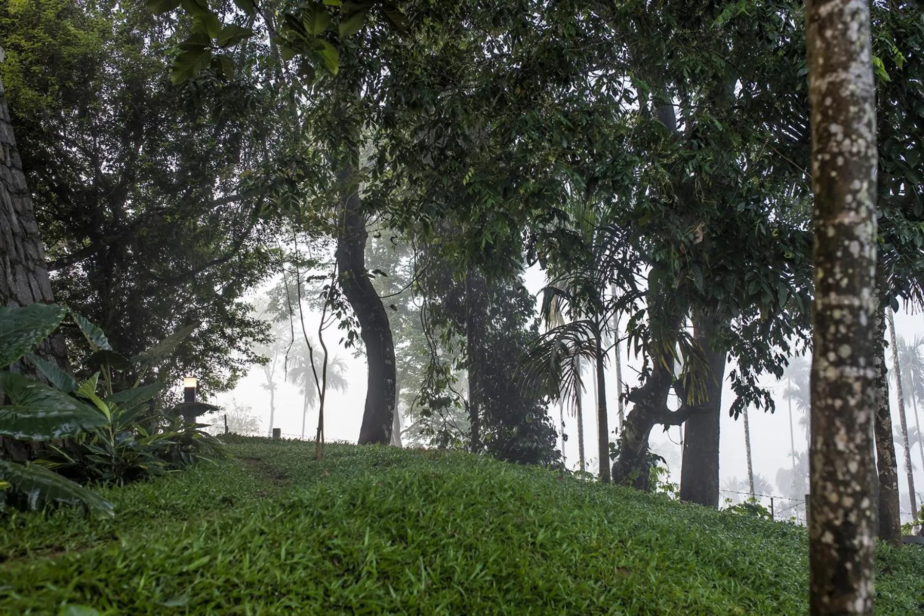 Natural landscape in GReaT Trails Wayanad by GRT Hotels