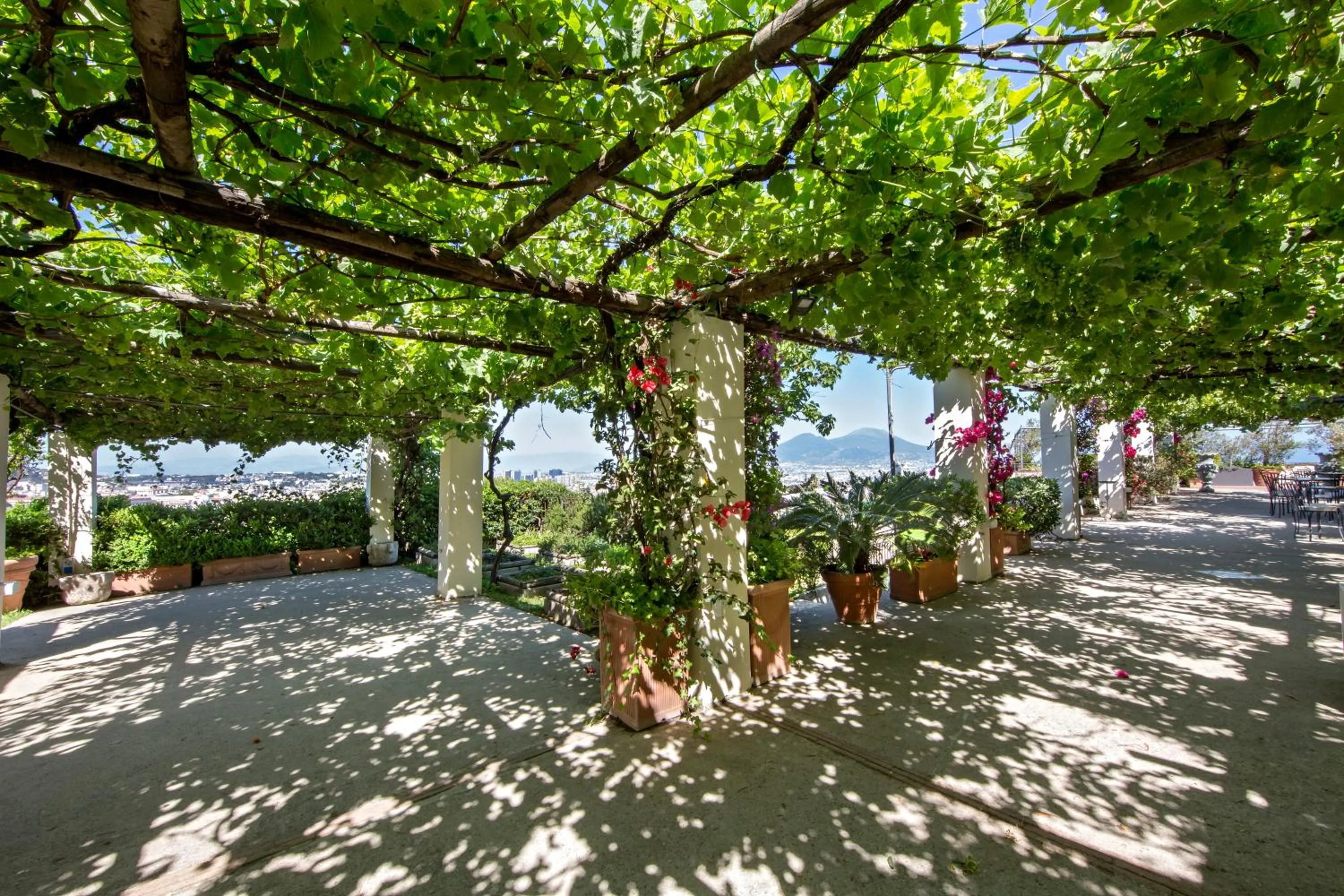 Garden in San Francesco al Monte