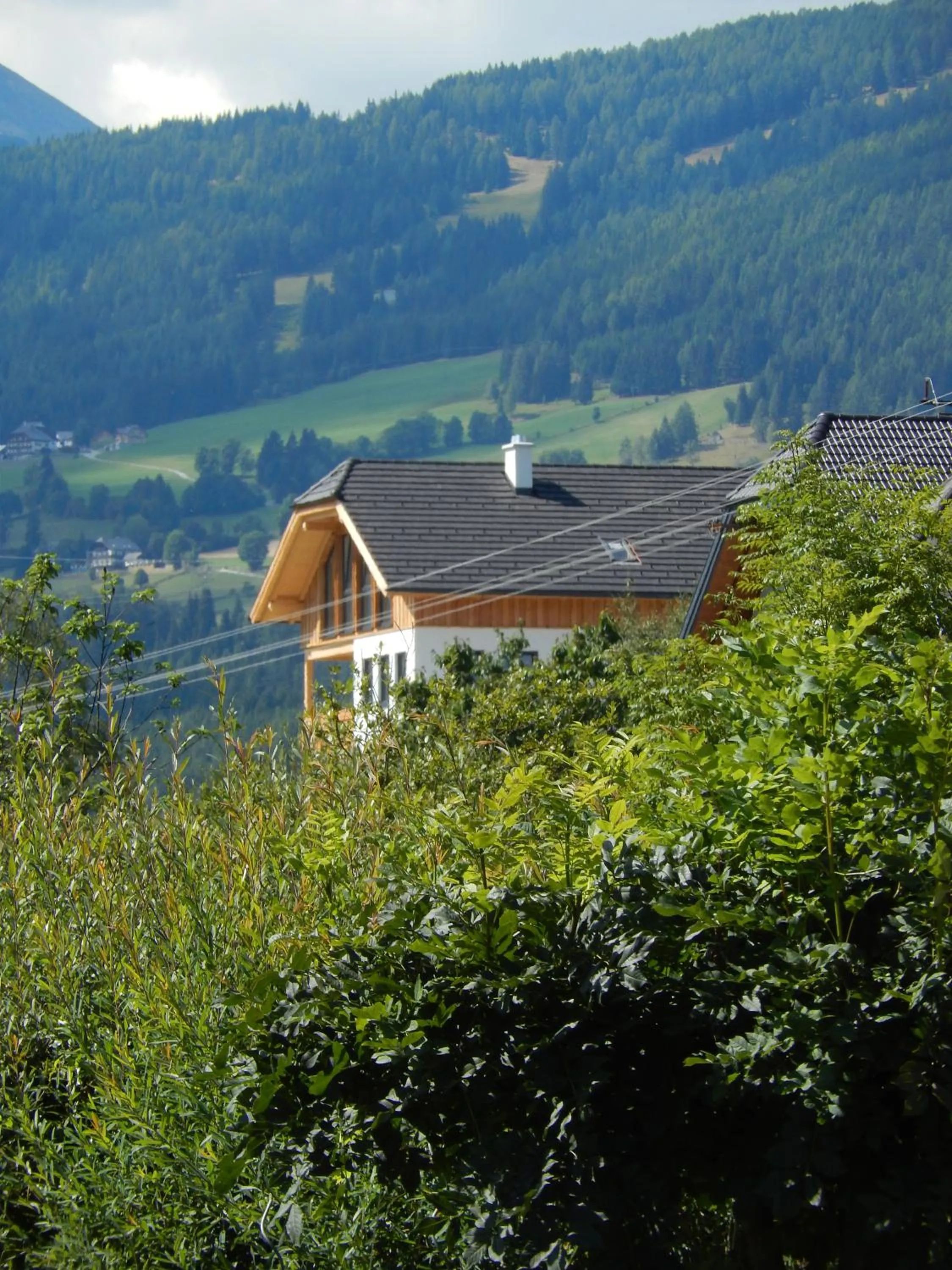 Facade/entrance in AlpenChalet Mitterberg
