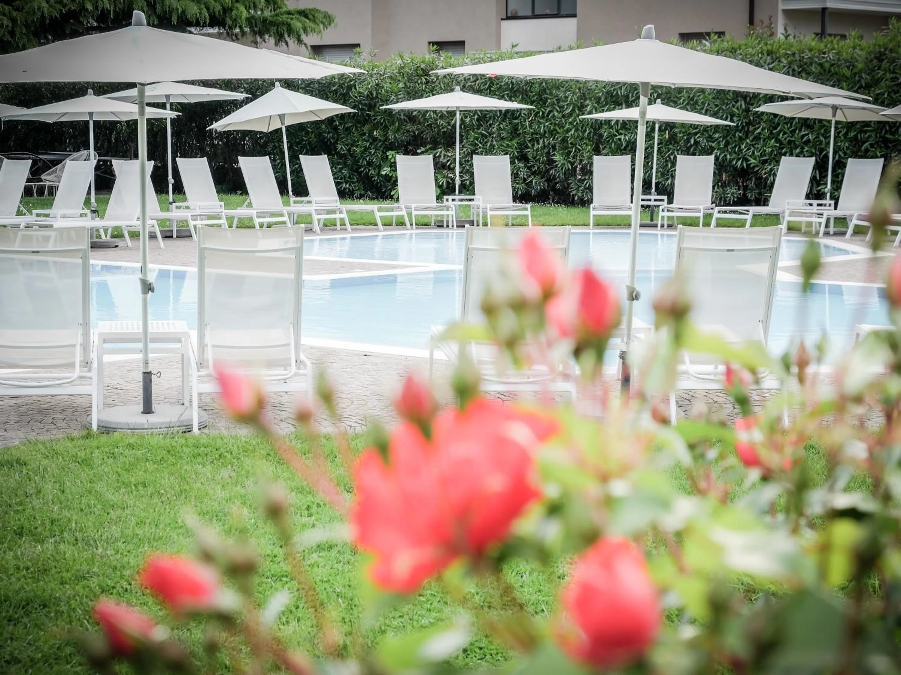 Garden in Hotel Luise