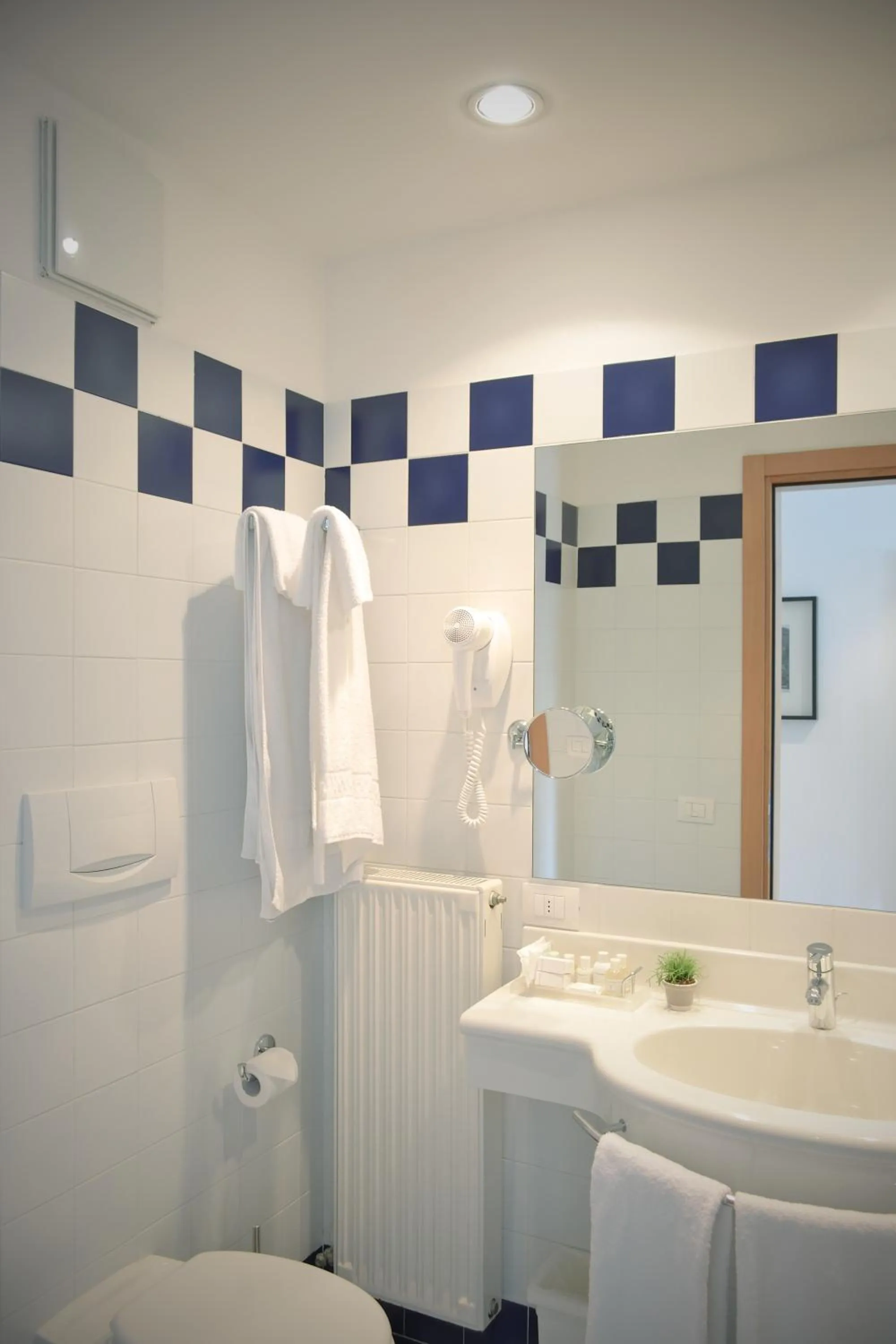 Shower in Hotel Luise