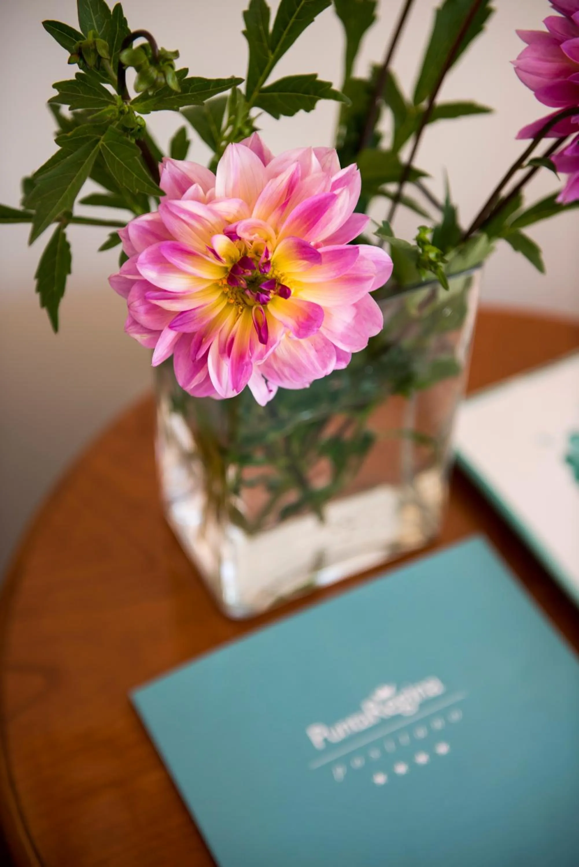 Decorative detail in Hotel Punta Regina