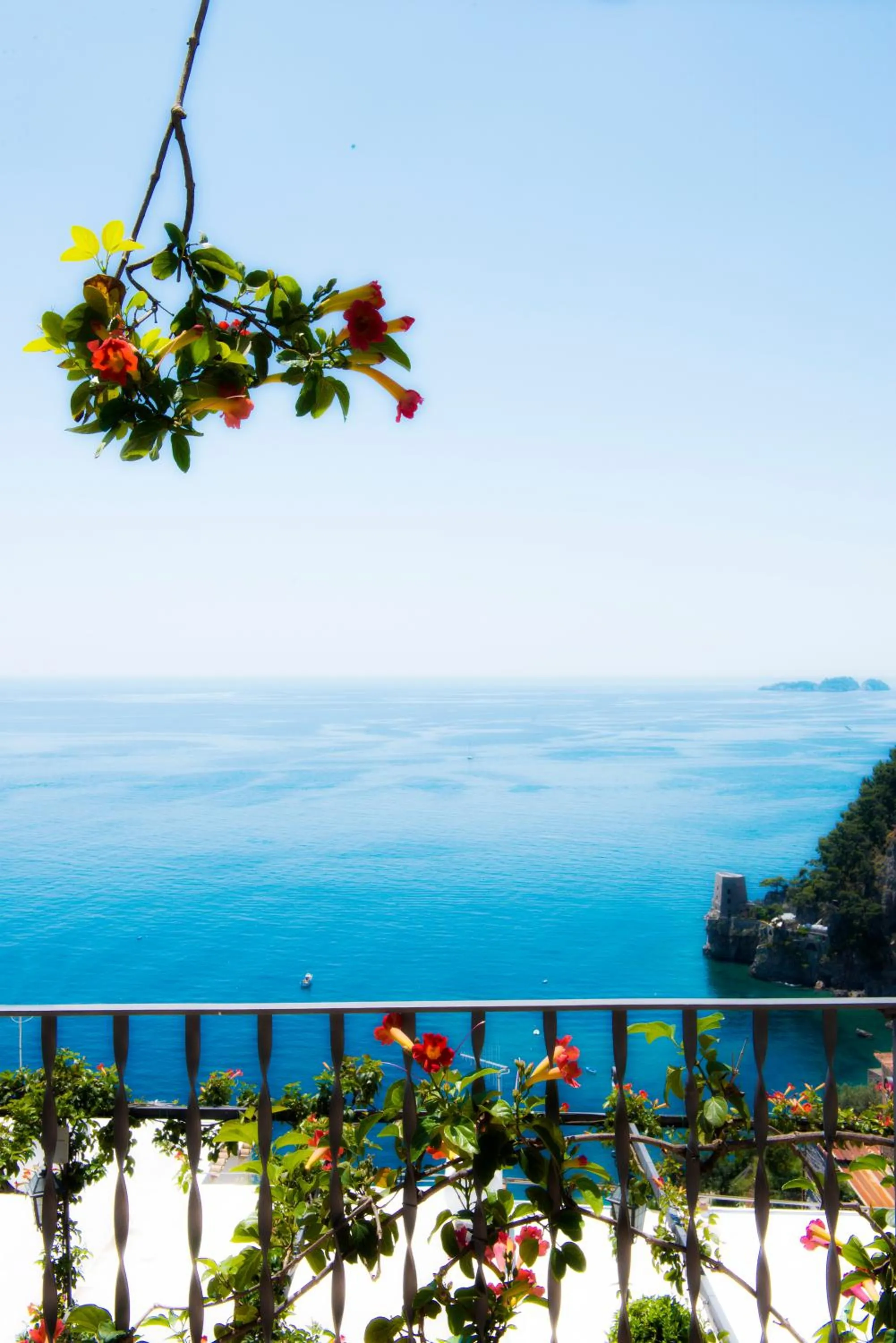 Balcony/Terrace in Hotel Punta Regina