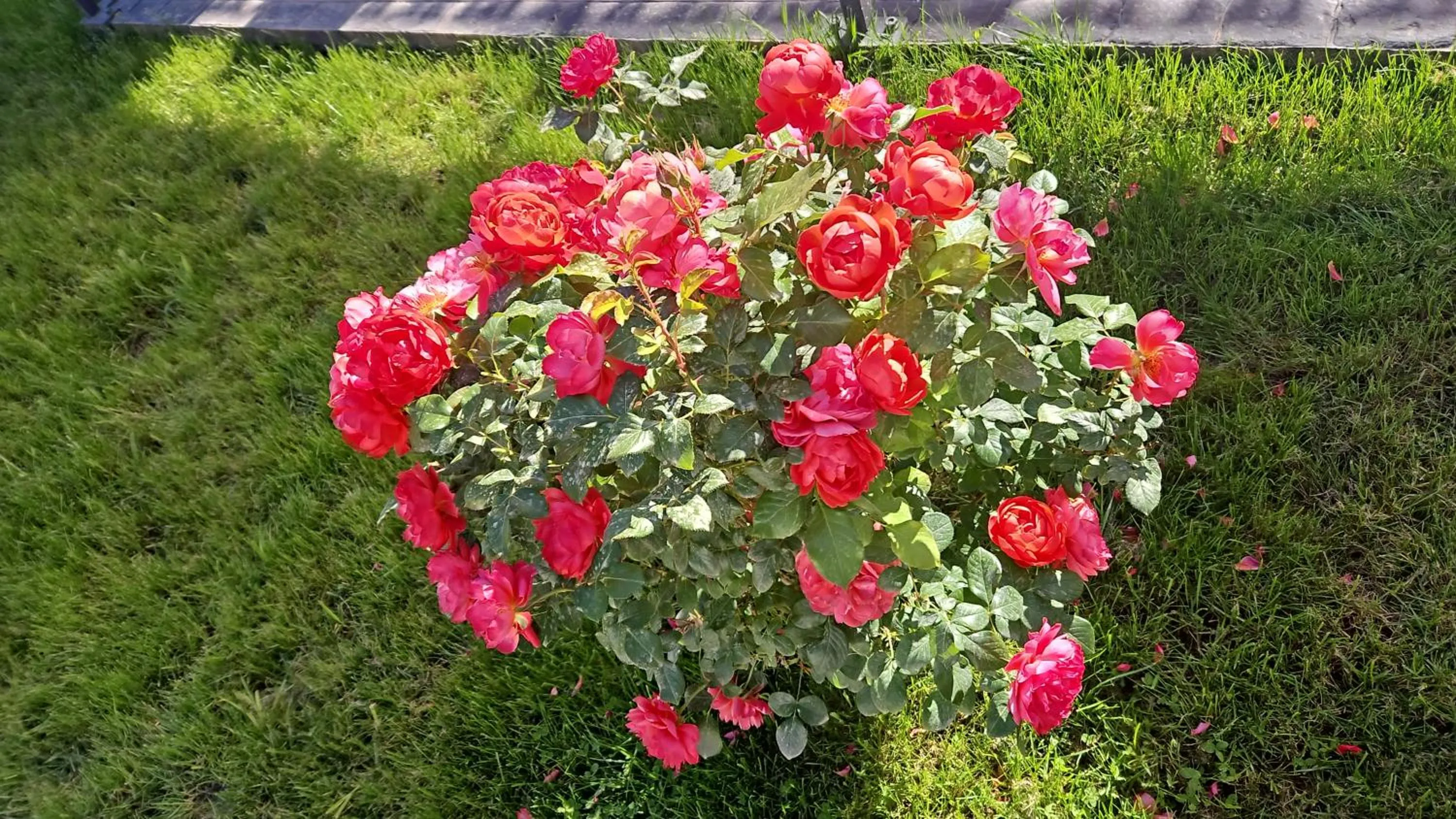 Signature Aparthotel - Boutique