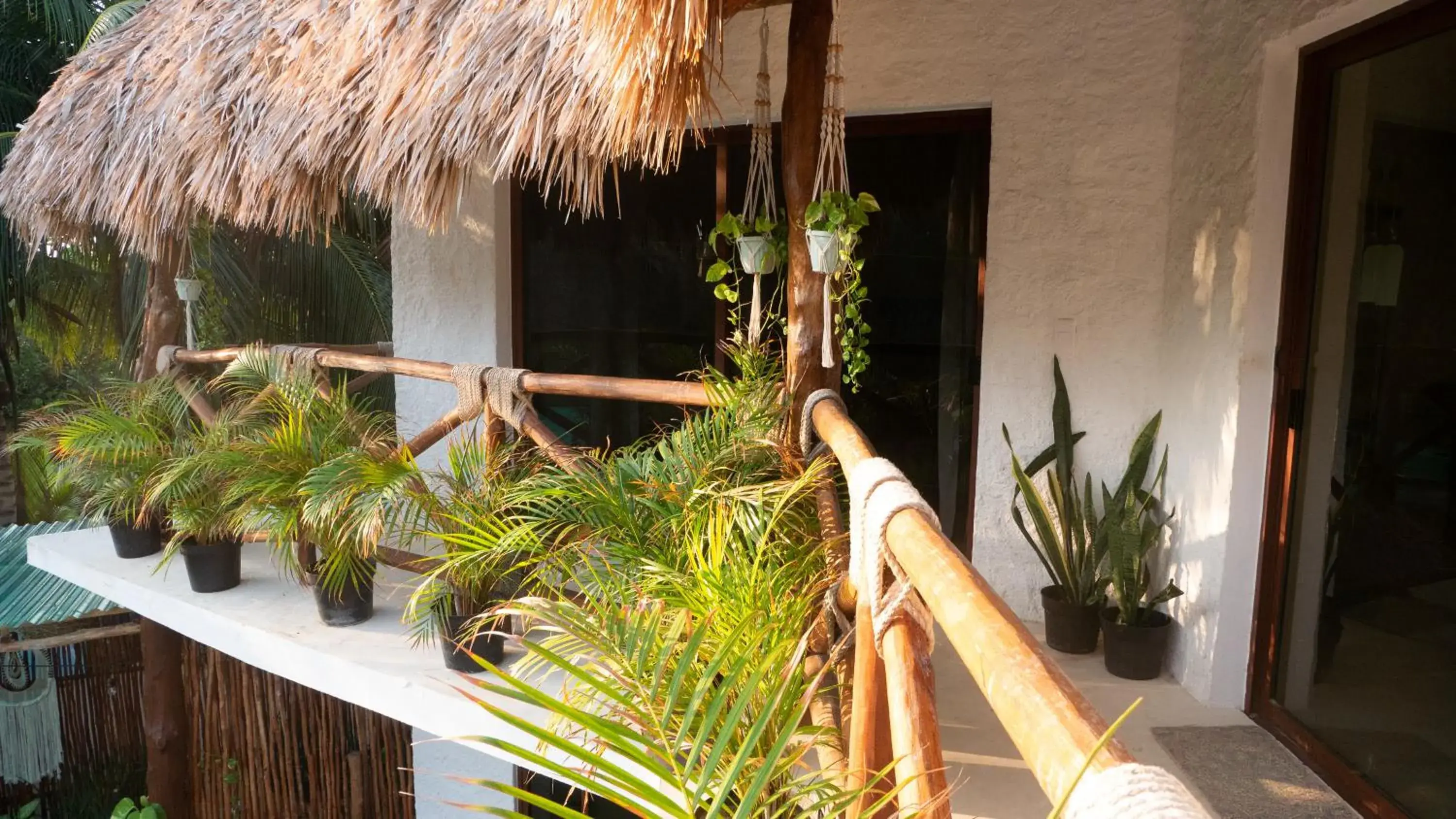 Garden view in Arte Sano Hotel Only Adults - Near Beach Garden view in Arte Sano Hotel Only Adults - Near Beach