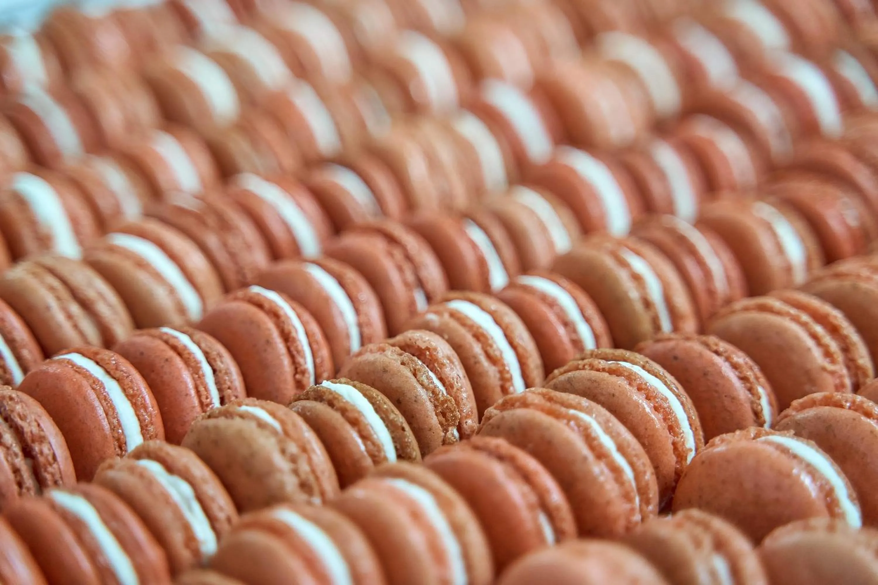 Food in Hotel Villa Il Patriarca