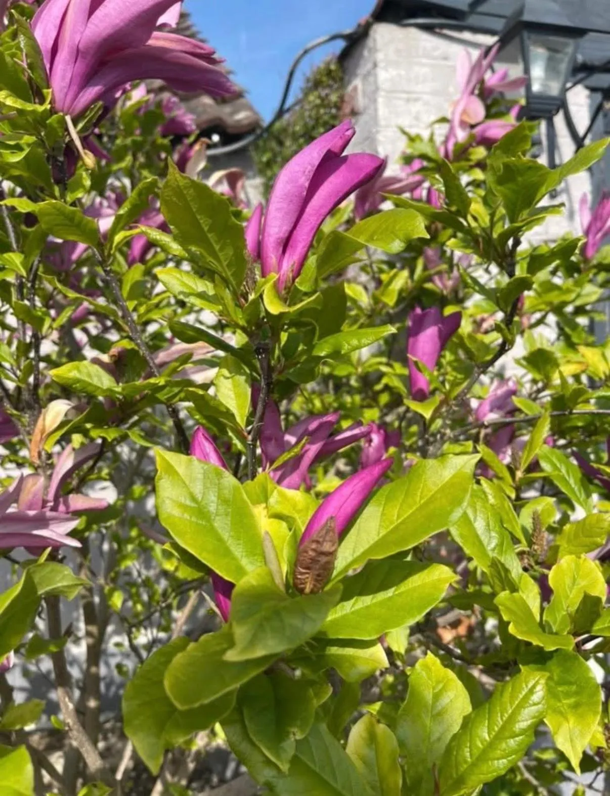 Spring in The Old Inn Retreat