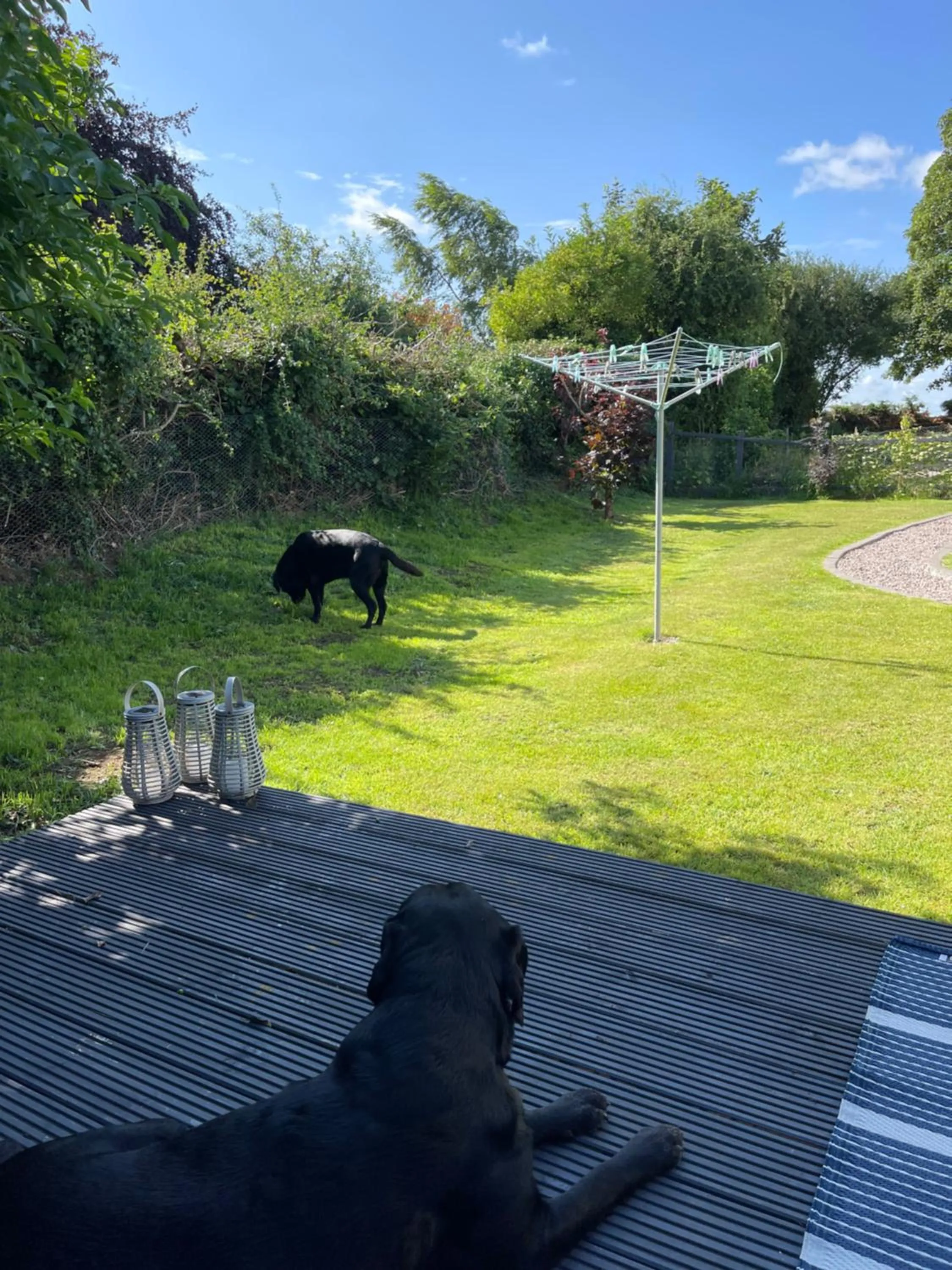 Garden in The Old Inn Retreat