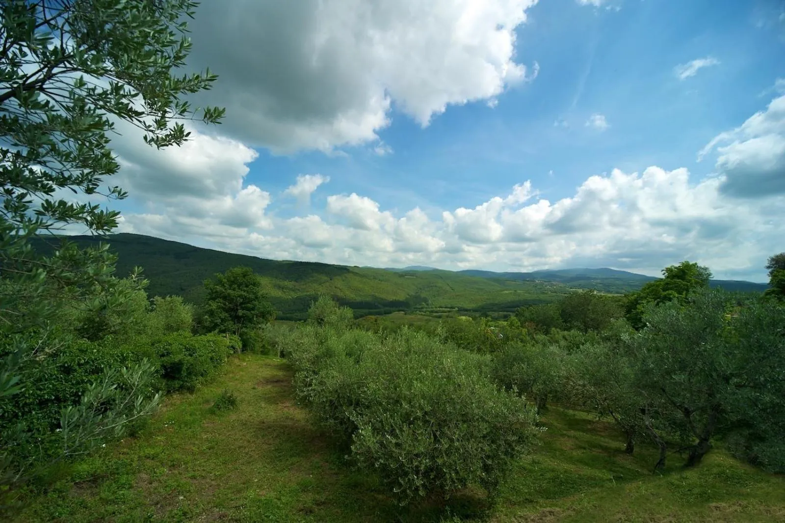 Natural landscape in Hotel Girifalco - Nature & Relax