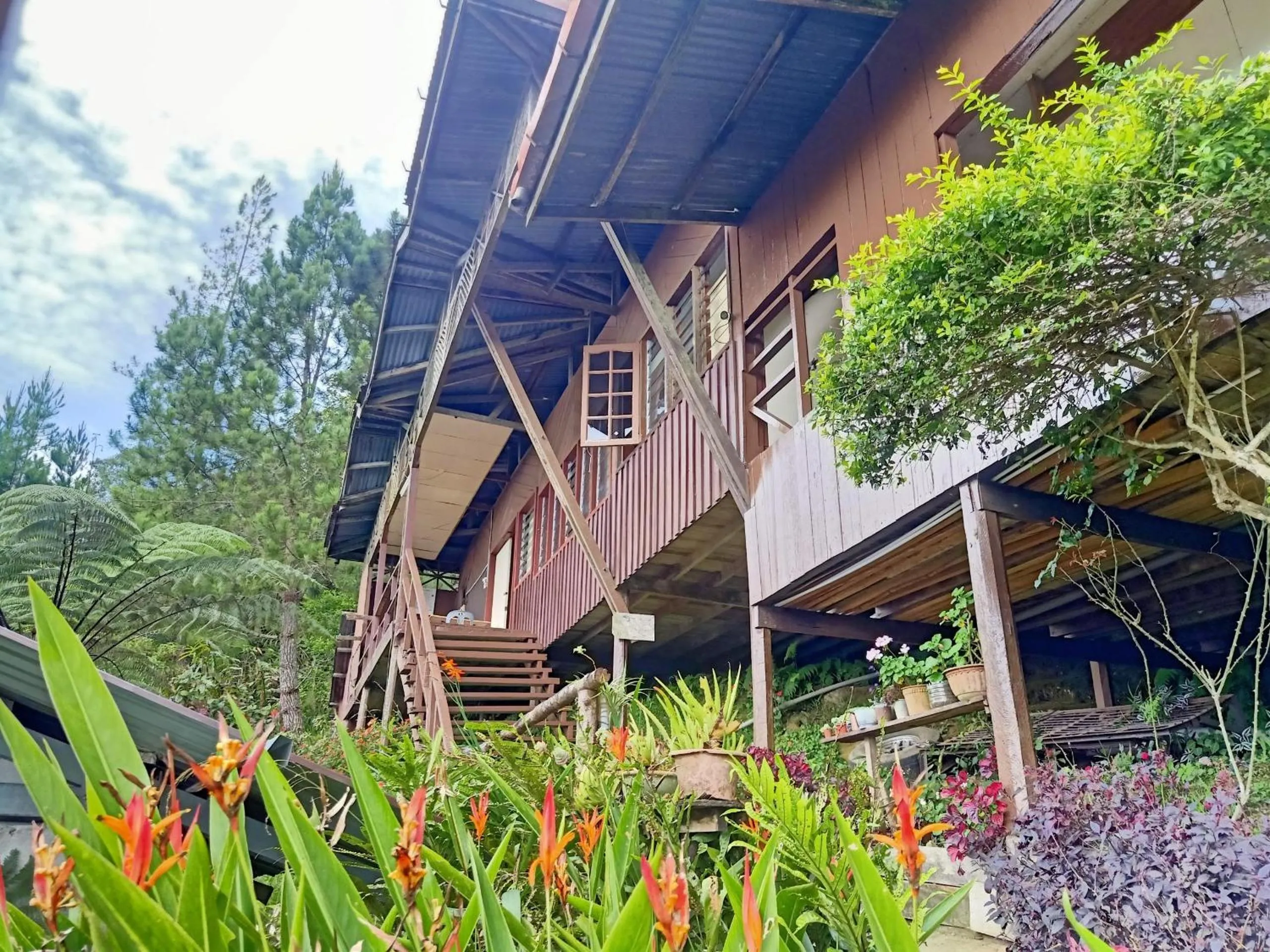 Facade/entrance in Hotel O Mountain Resthouse