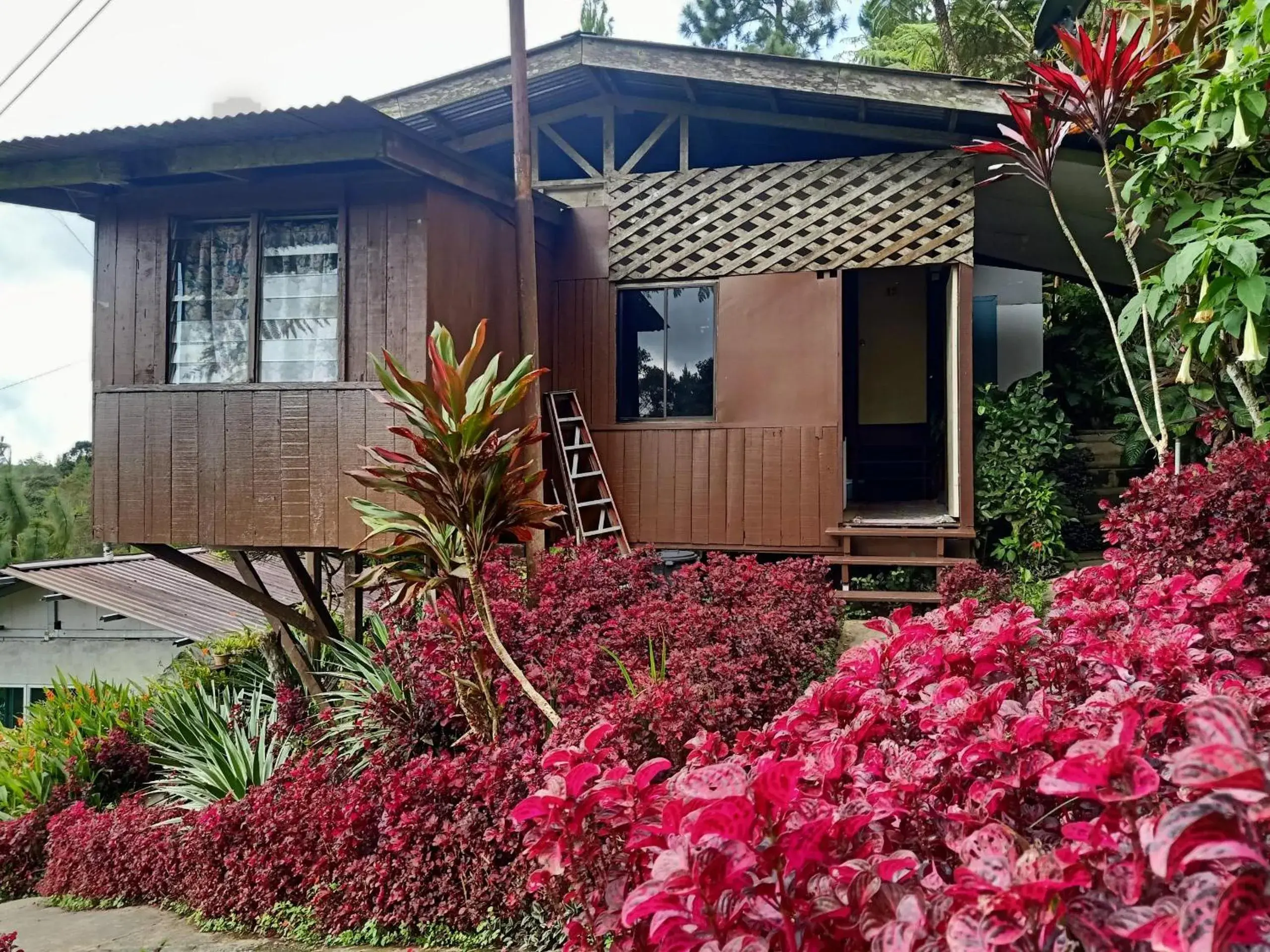 Facade/entrance in Hotel O Mountain Resthouse Facade/entrance in Hotel O Mountain Resthouse