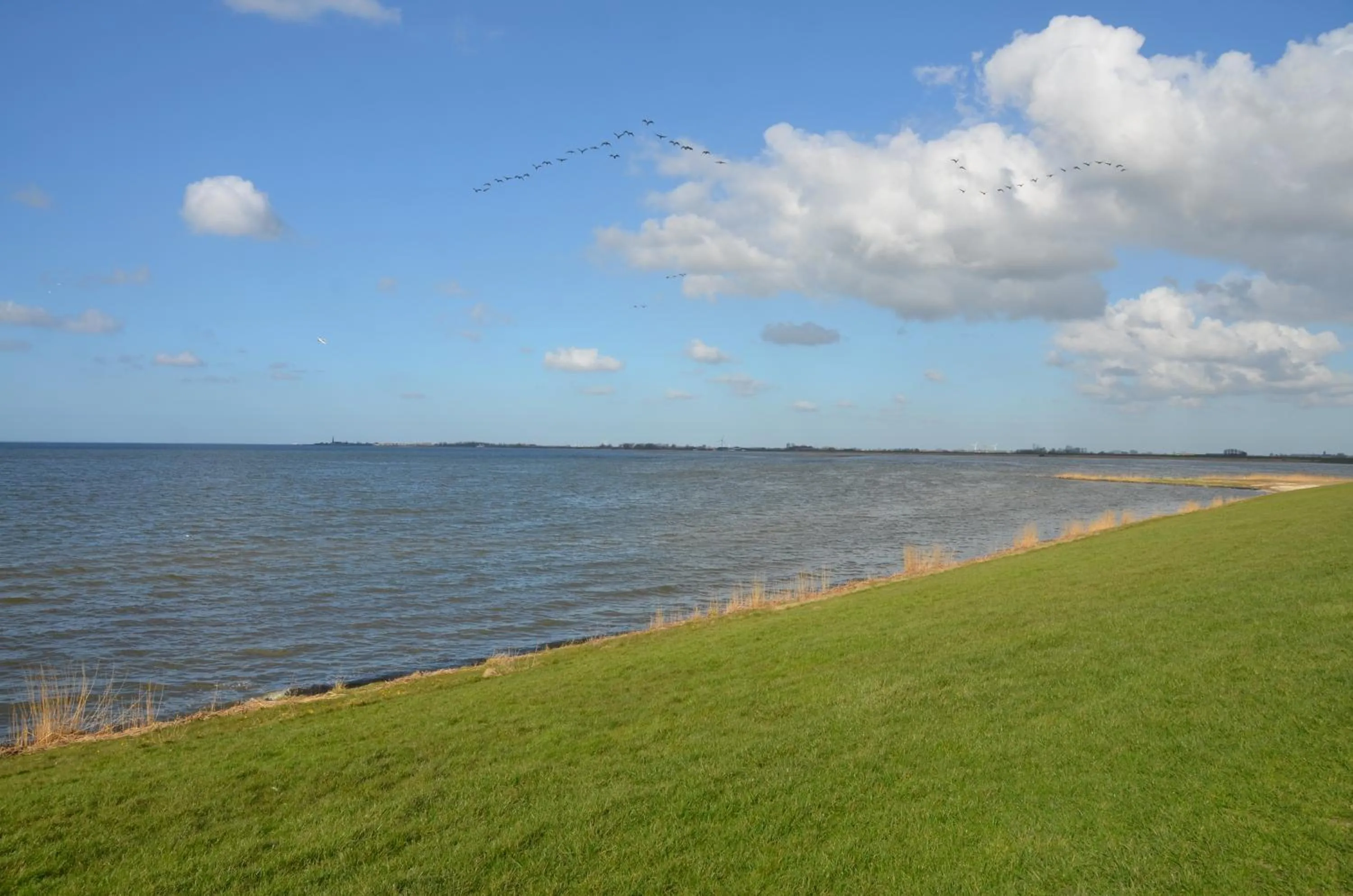 Property building in 'It Mearke