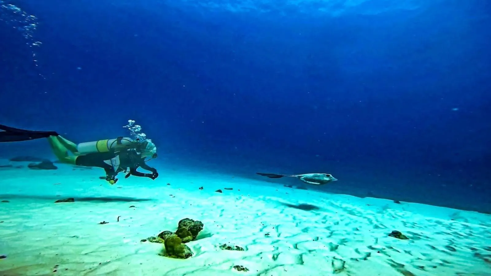 Diving in Suffix Retreat - Stay, Dive & Explore Fuvahmulah