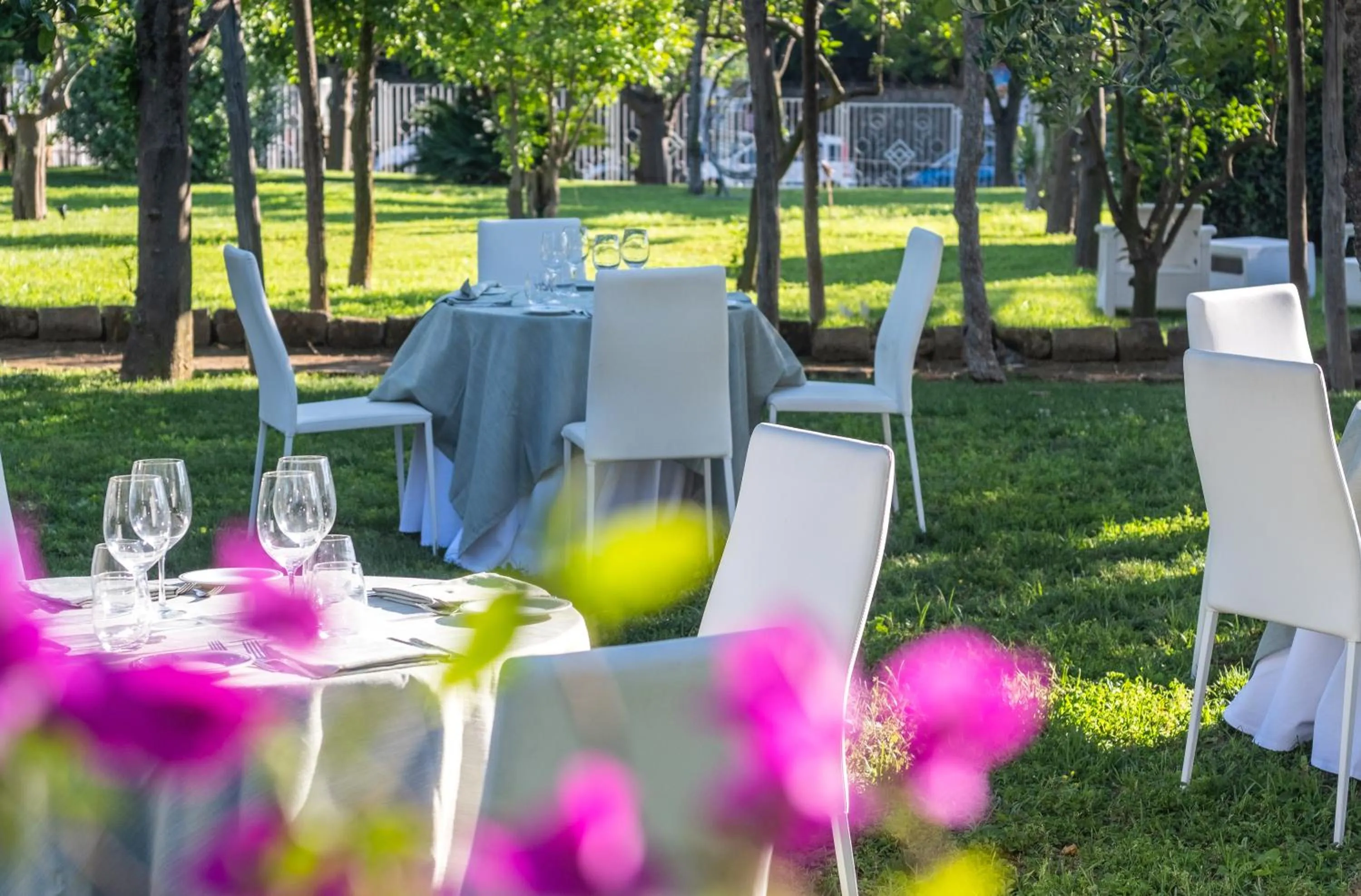 Restaurant/places to eat in Hotel Alpha