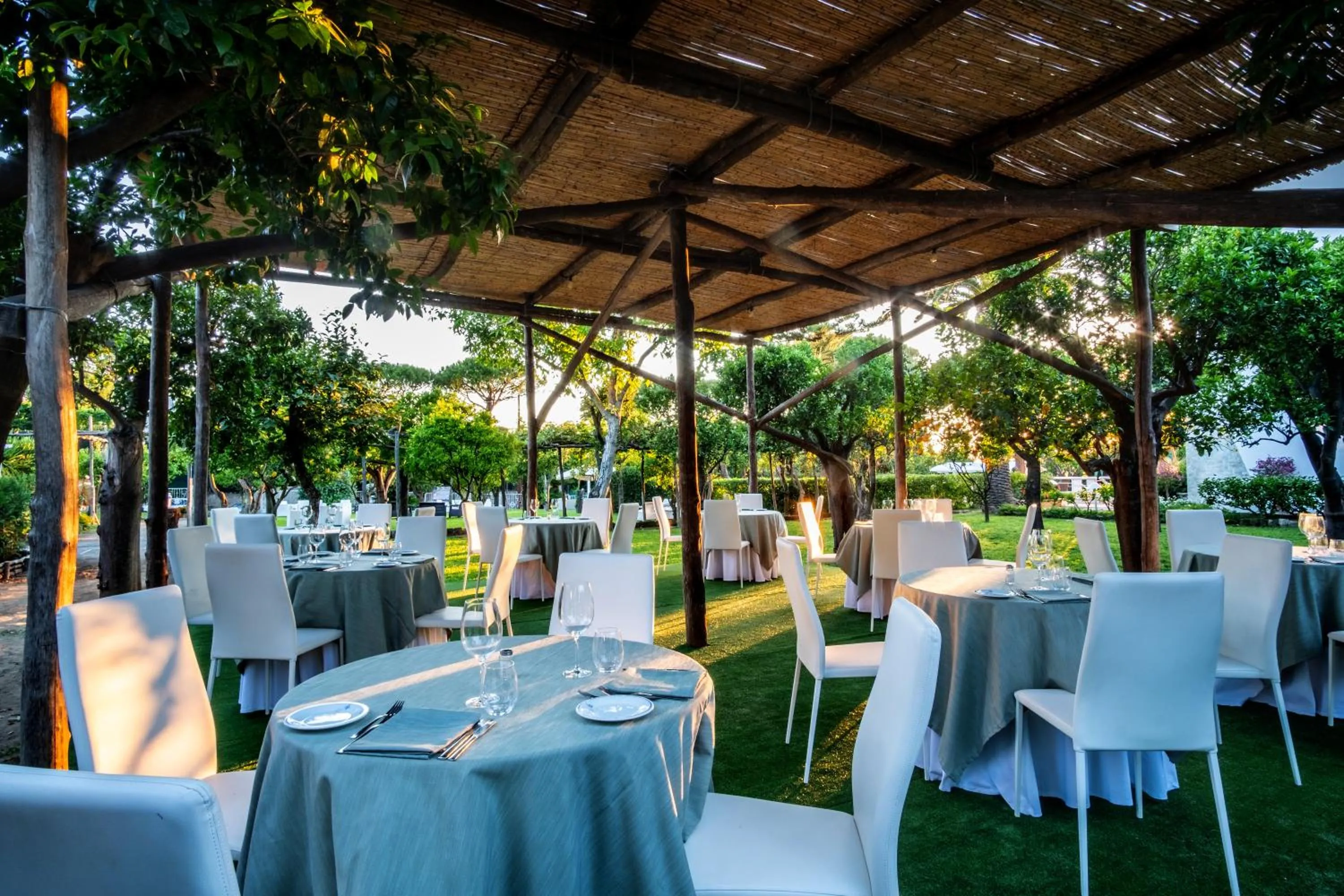 Restaurant/places to eat in Hotel Alpha