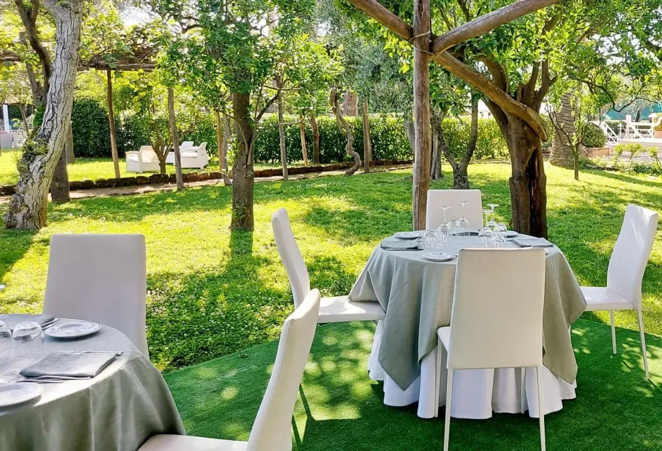 Restaurant/places to eat in Hotel Alpha Restaurant/places to eat in Hotel Alpha