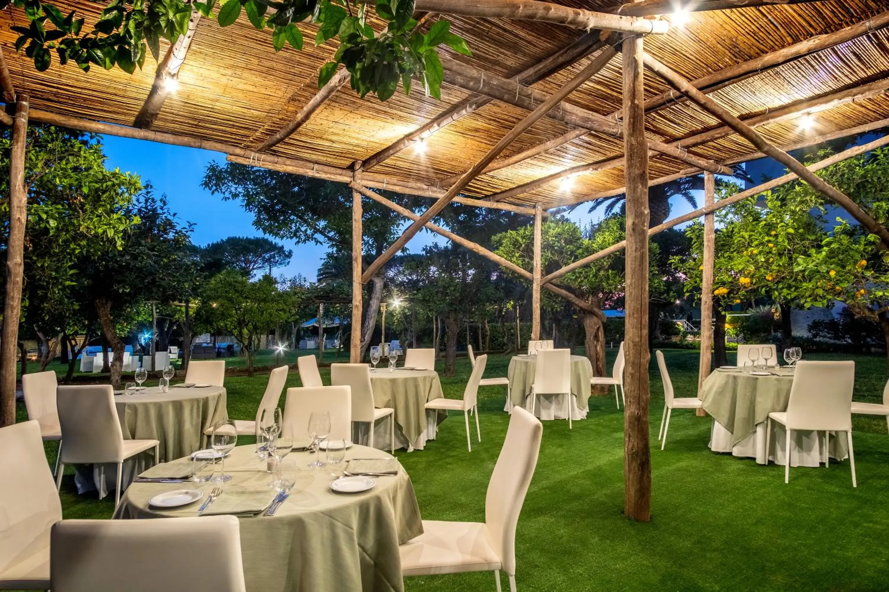 Restaurant/places to eat in Hotel Alpha Restaurant/places to eat in Hotel Alpha