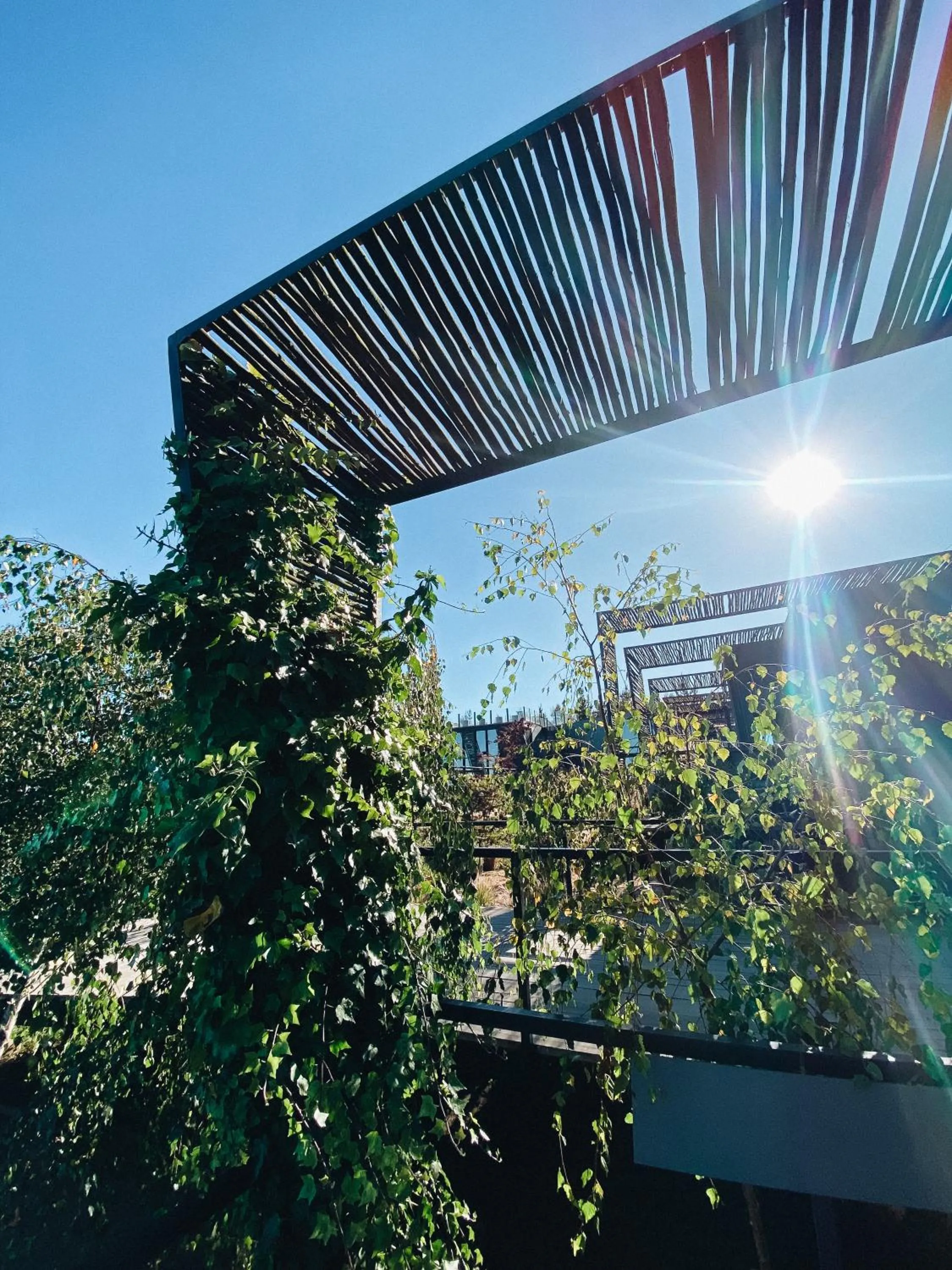 Day in Taka Matanzas