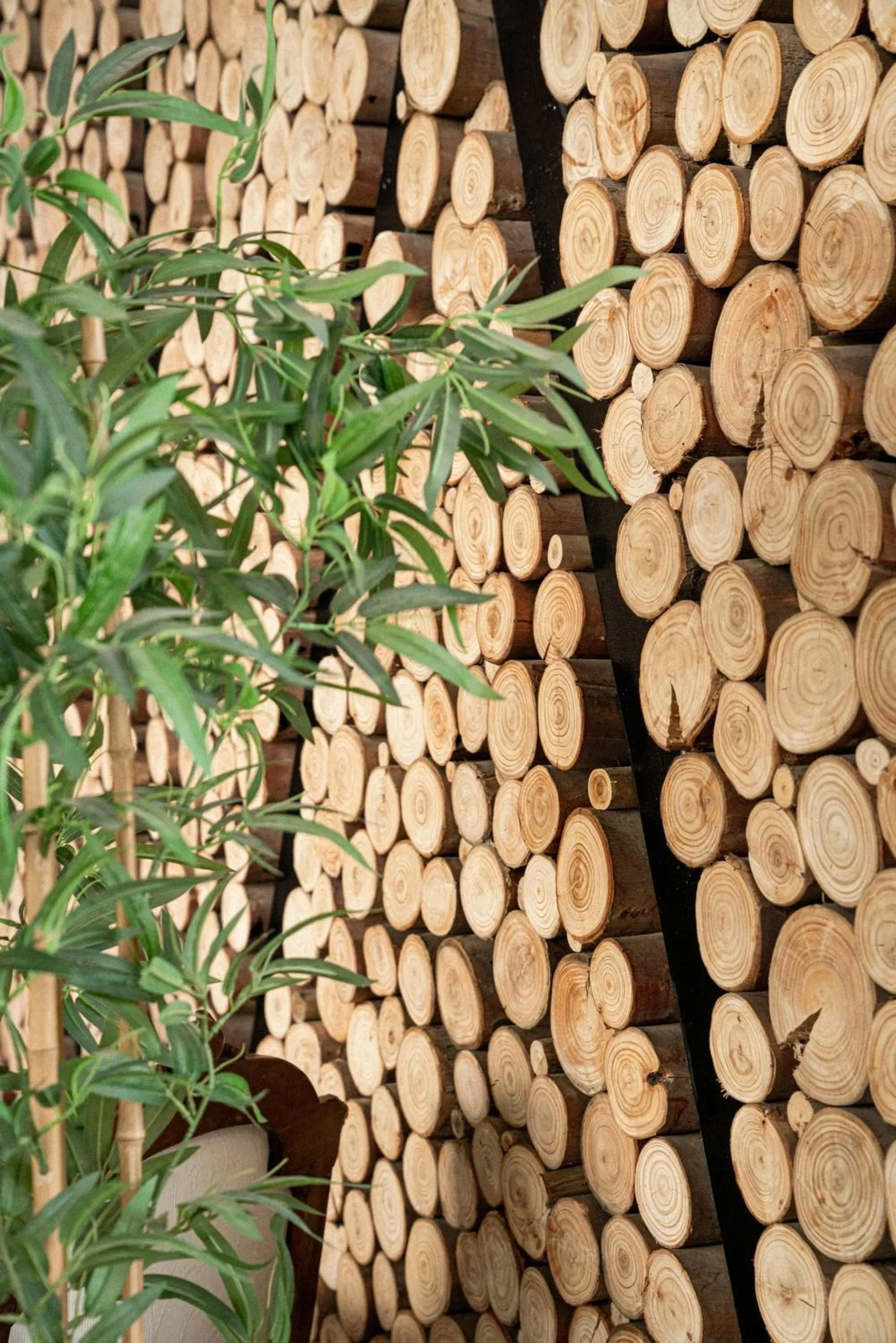 Restaurant/places to eat in Taka Matanzas