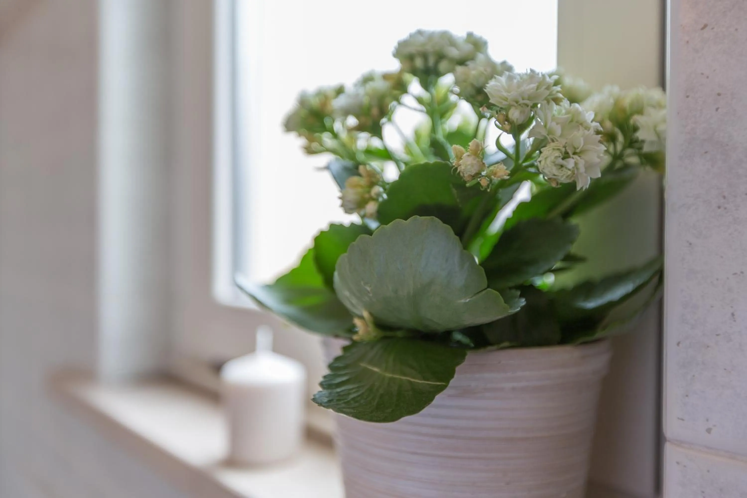 Ristorante Hotel Lucia - 100 mt dal mare