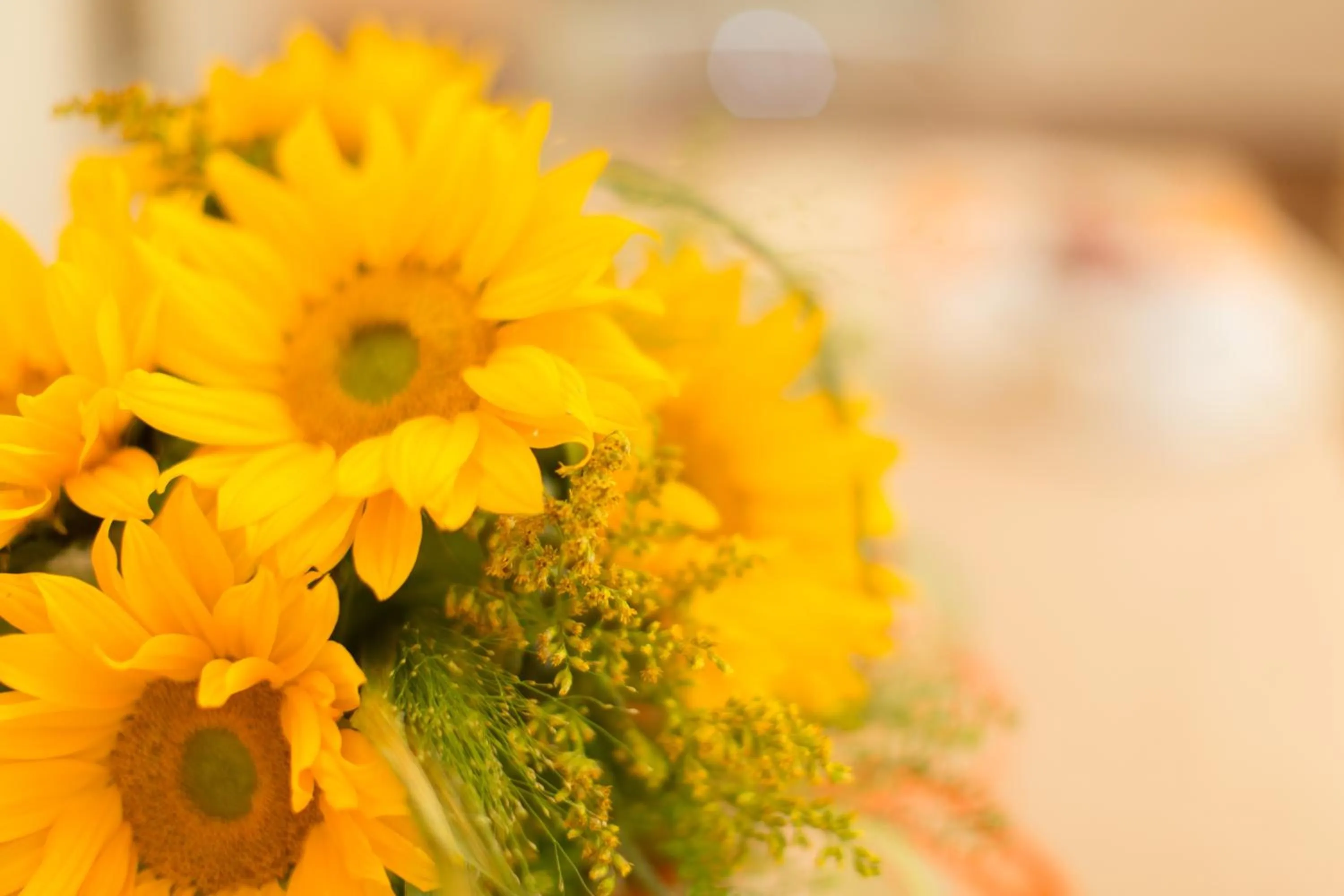 Ristorante Hotel Lucia - 100 mt dal mare