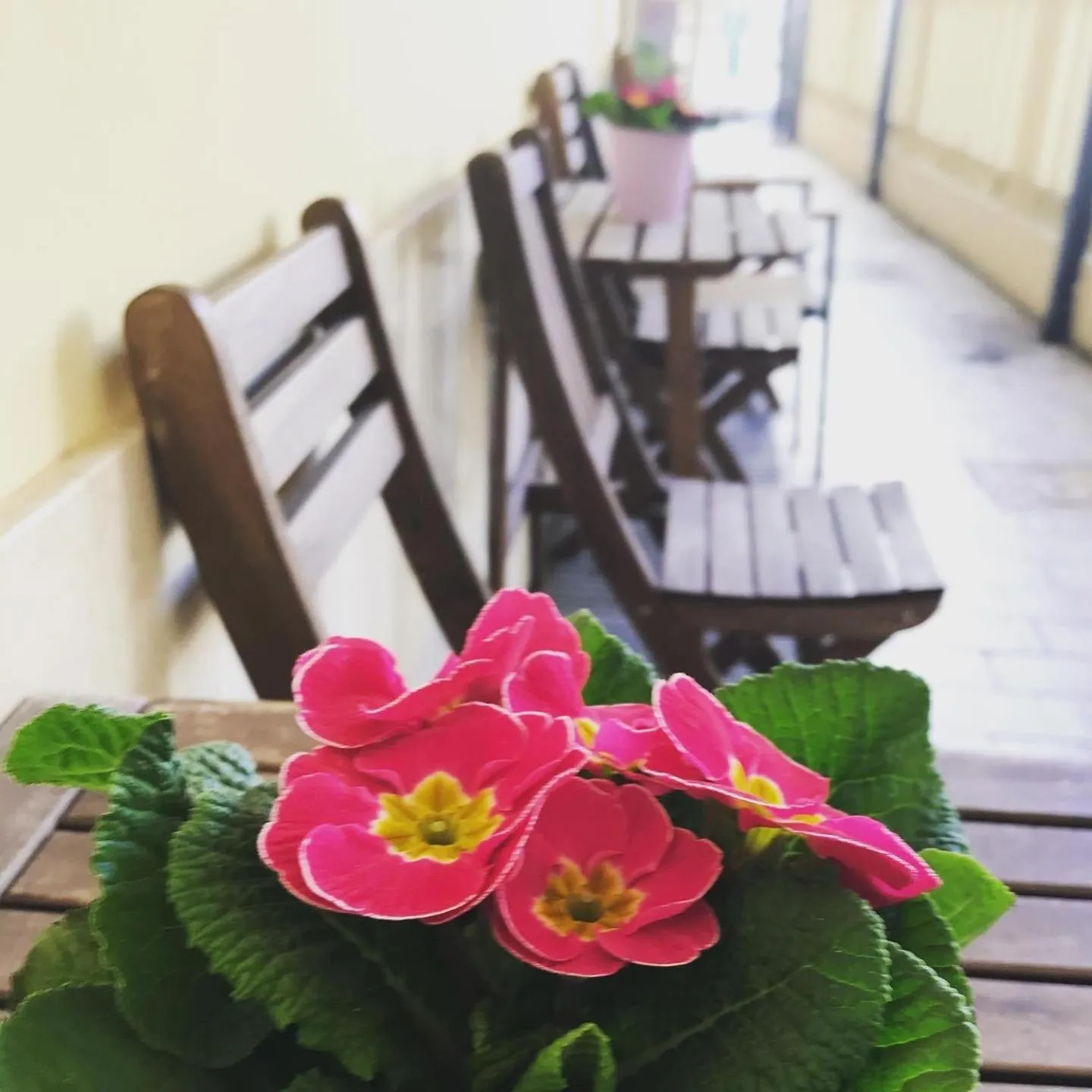 Property building in Ristorante Hotel Lucia - 100 mt dal mare