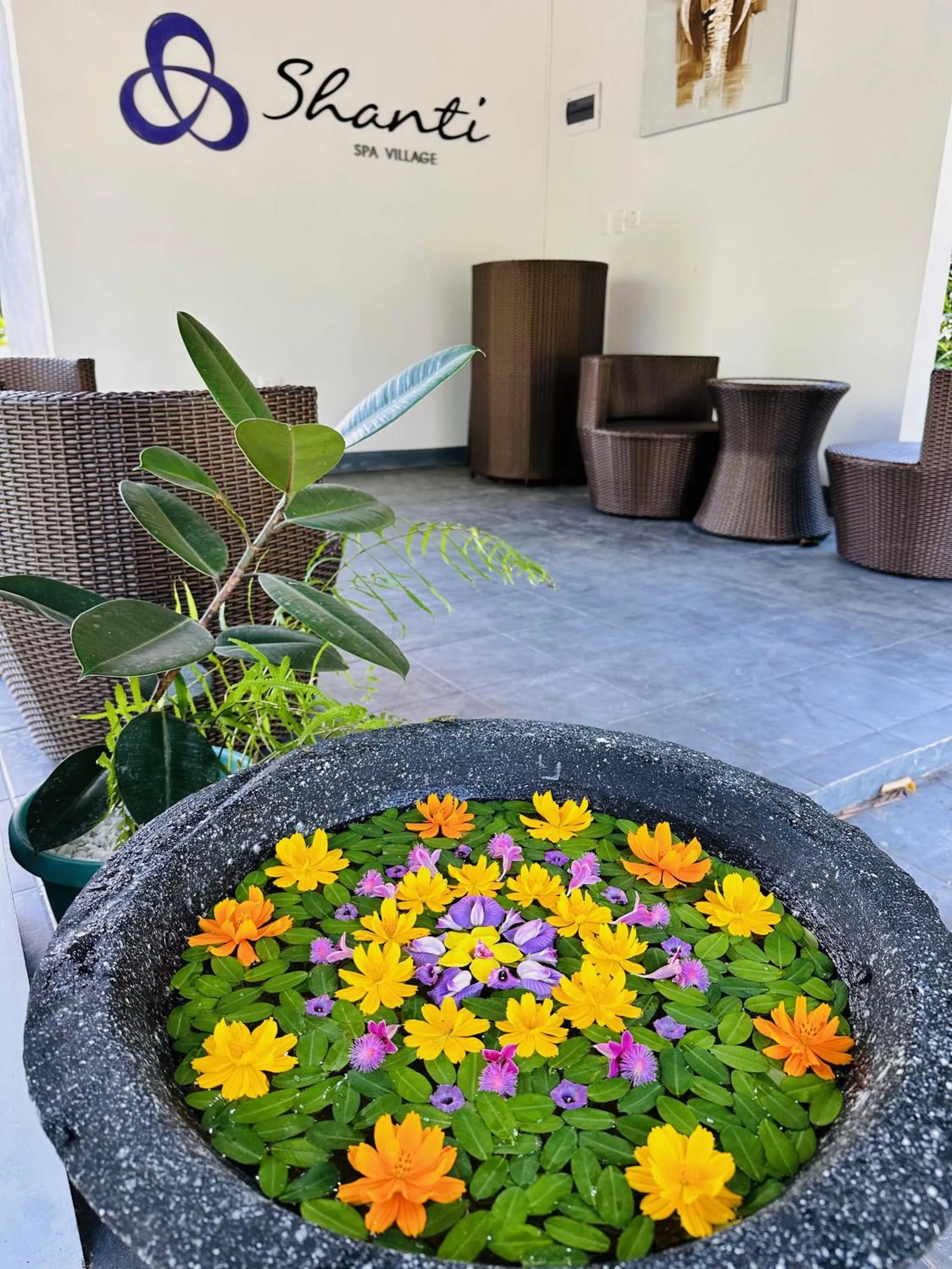 Shanti Wellness Sanctuary