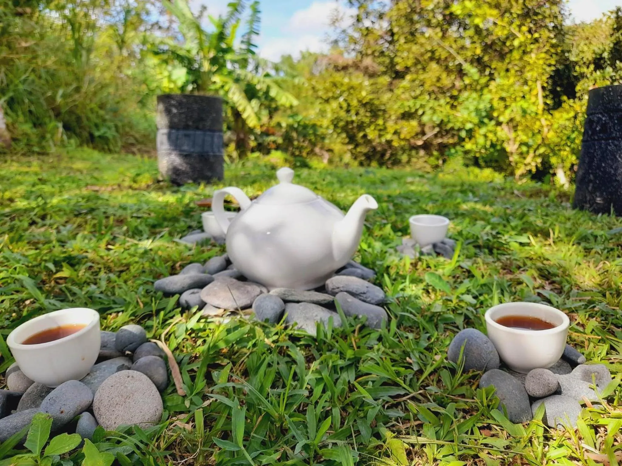 Shanti Wellness Sanctuary