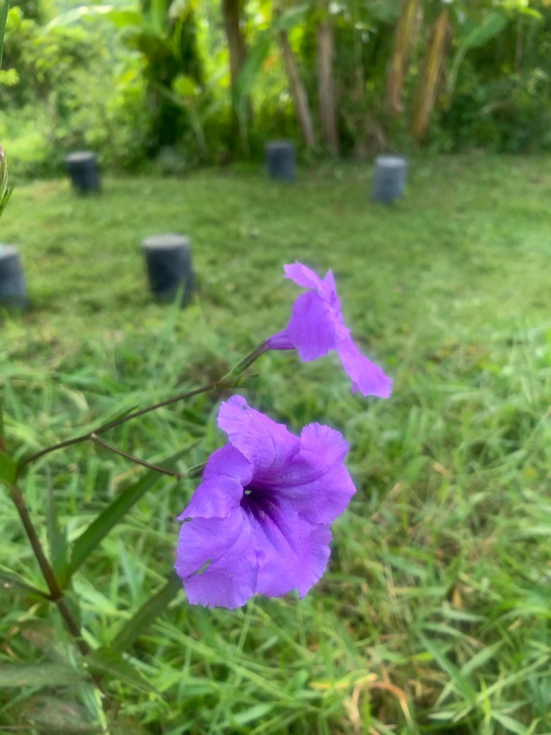 Shanti Wellness Sanctuary