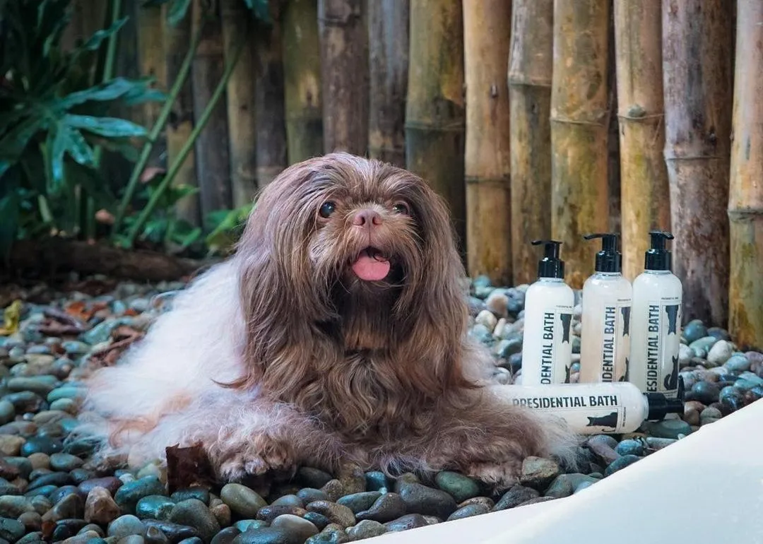 Shanti Wellness Sanctuary